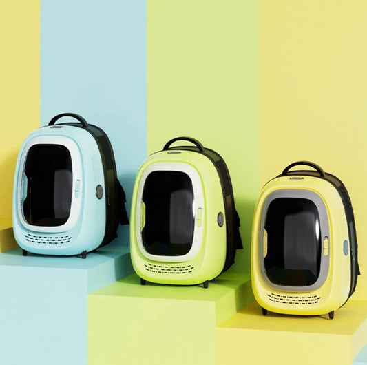 Choosing the Right Cat Carrier: A Guide for Feline Travel Comfort