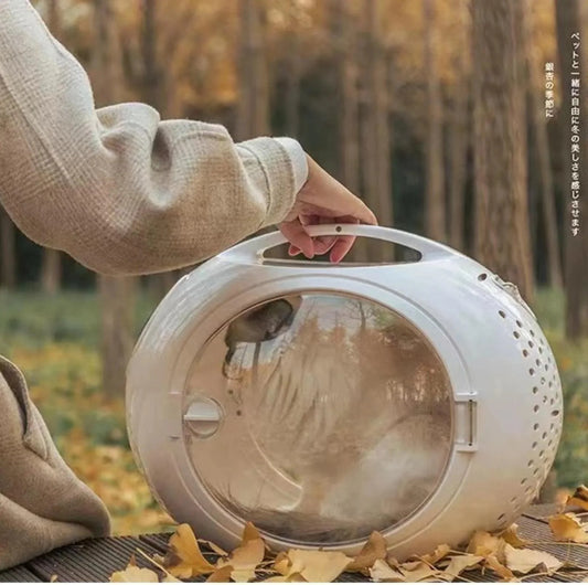 Which Cat Carrier is Best for Your Cat? - PawPawUp