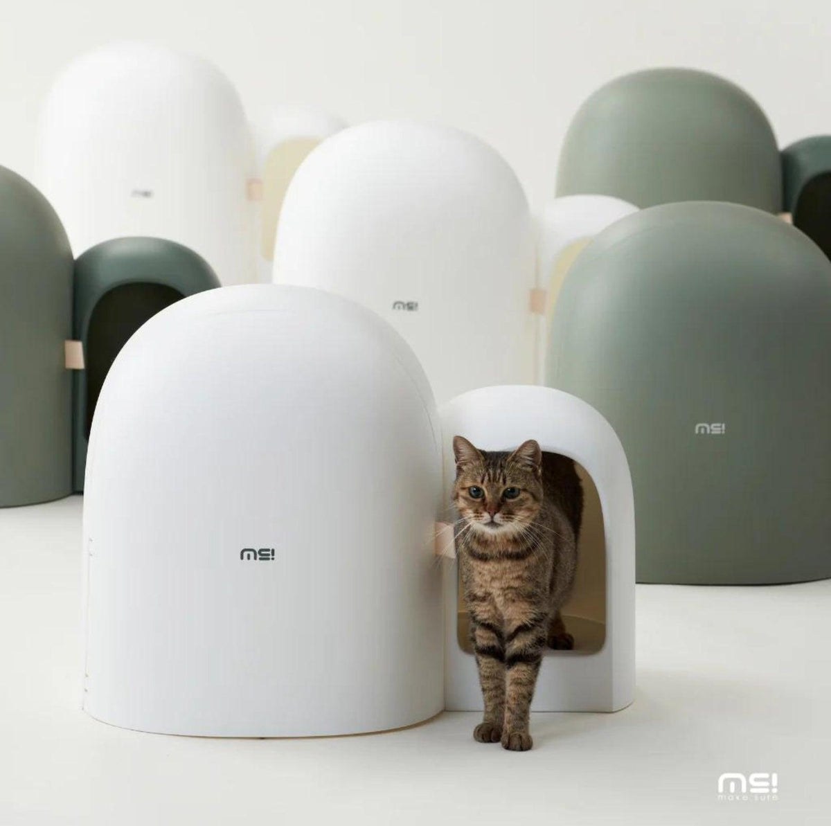 Stylish dome-shaped cat litter box with a cat stepping out, surrounded by neutral-toned litter boxes in a modern home setting.
