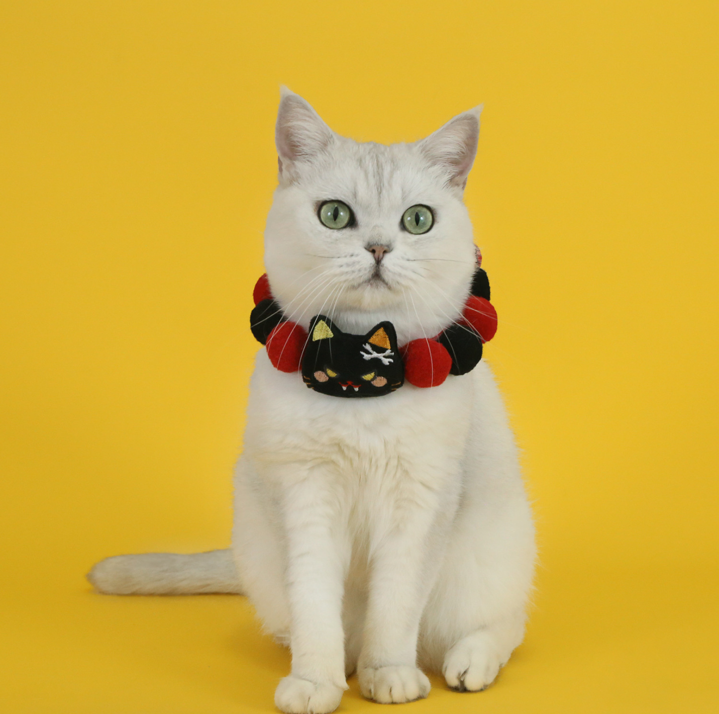Halloween Plush Ball Collar for Cats and Small Dogs – Soft Cotton Design in Pumpkin, Ghost & Black Cat Styles