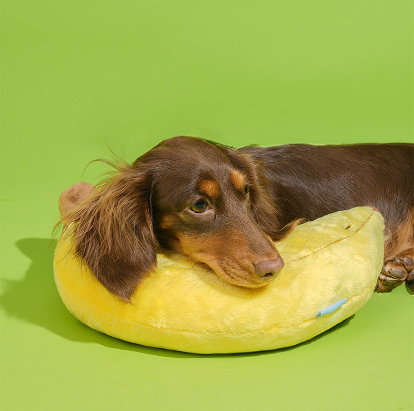 ZeZe Banana Style Pet Pillow Toy – Soft Cuddly Kicker