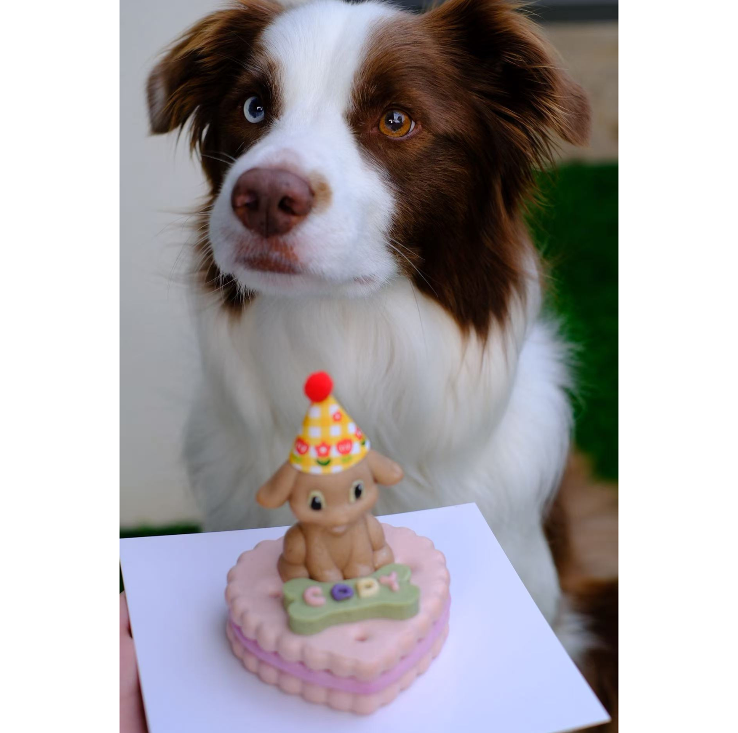 Le Petit Paws: Happy Barkday. Dog Birthday Cake - White