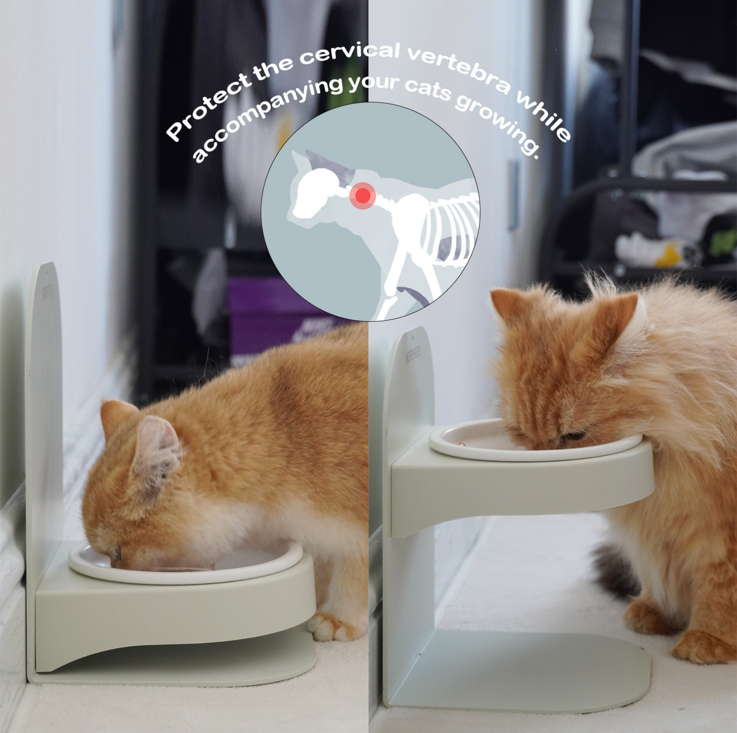 Adjustable Magnetic Cat Bowl Set - Durable and Versatile Feeding Solution