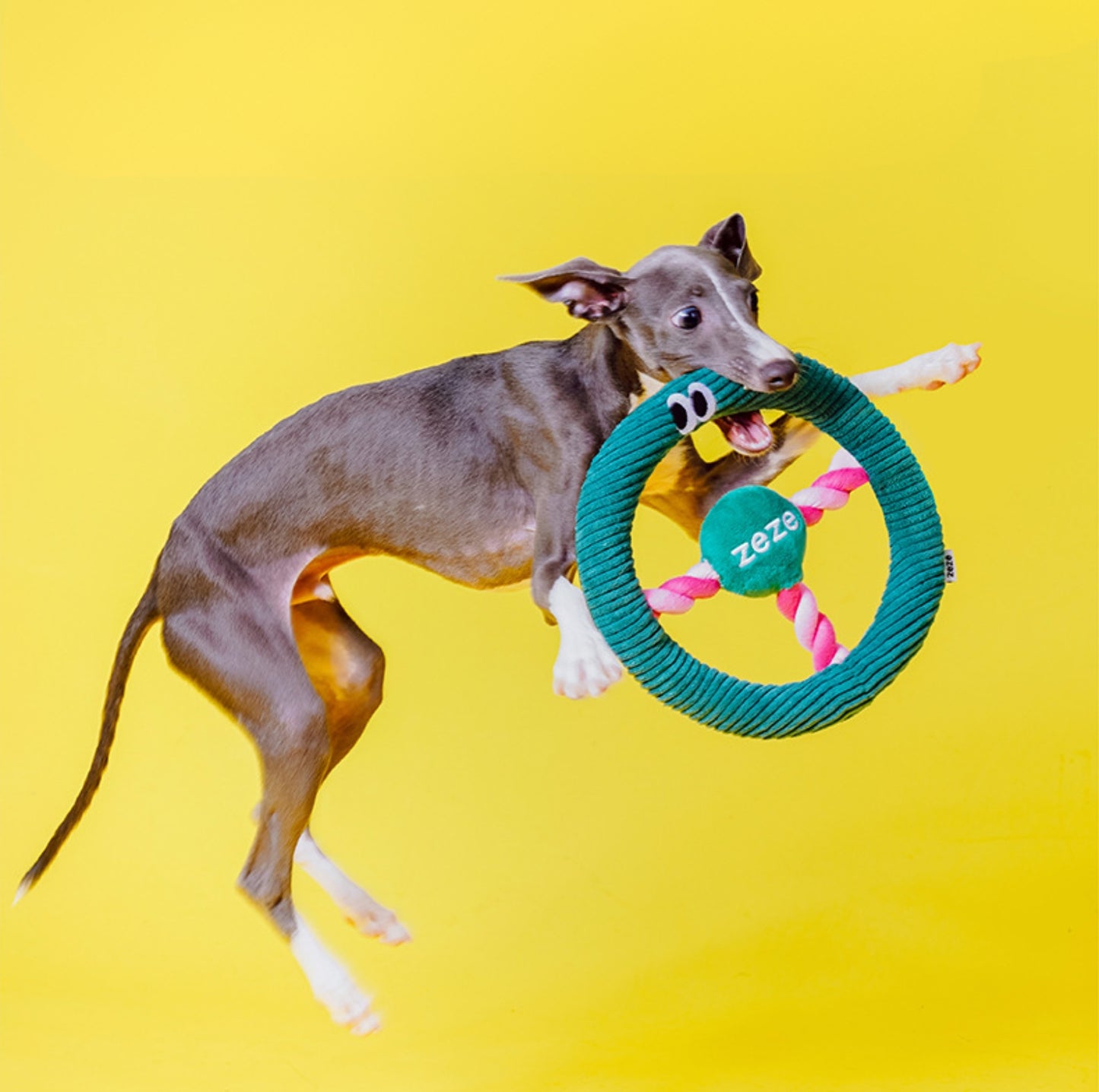 ZEZE Steering-Wheel Shaped Dog Toy