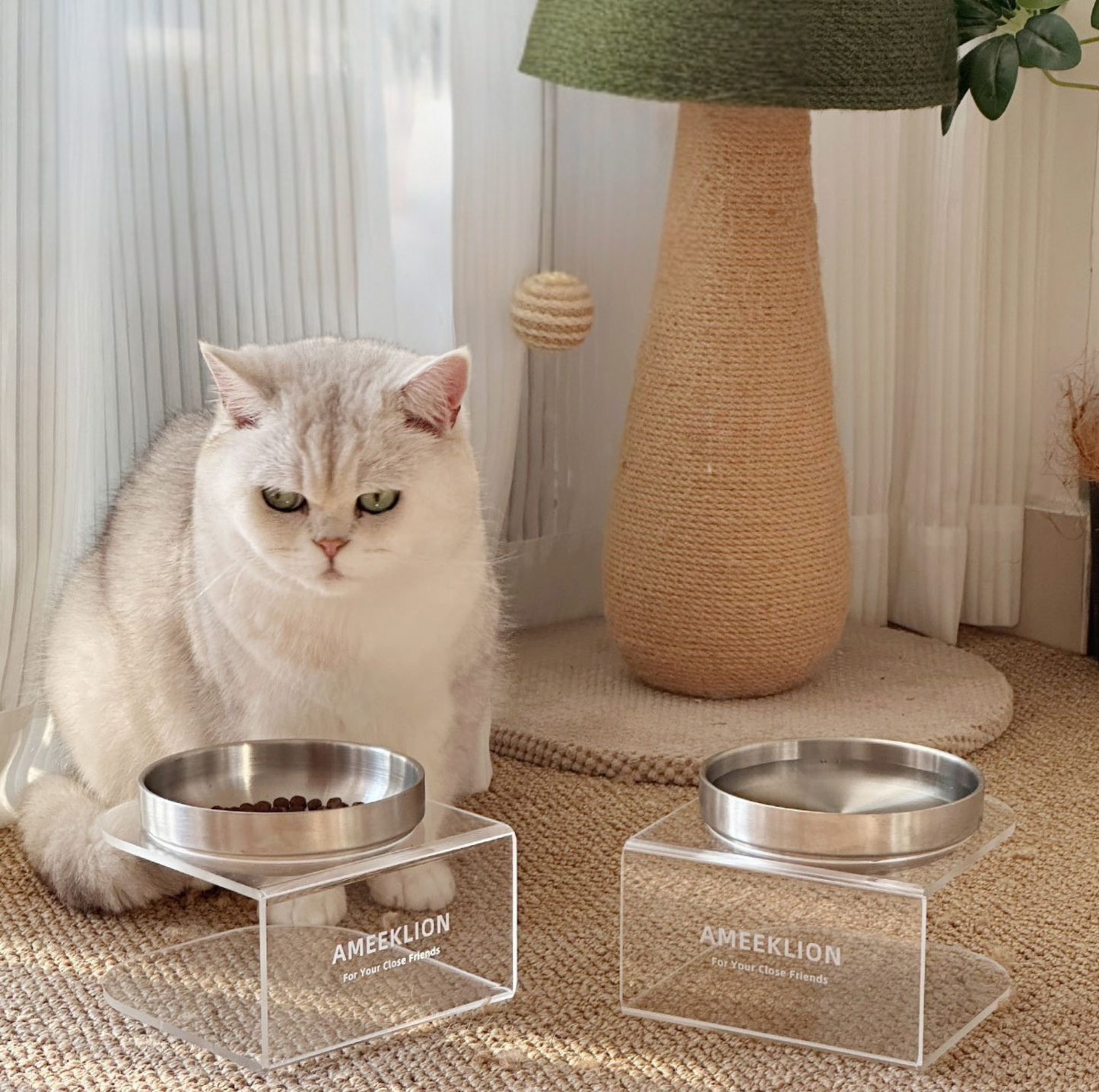 304 Stainless Steel Pet Food Bowl with Acrylic Stand