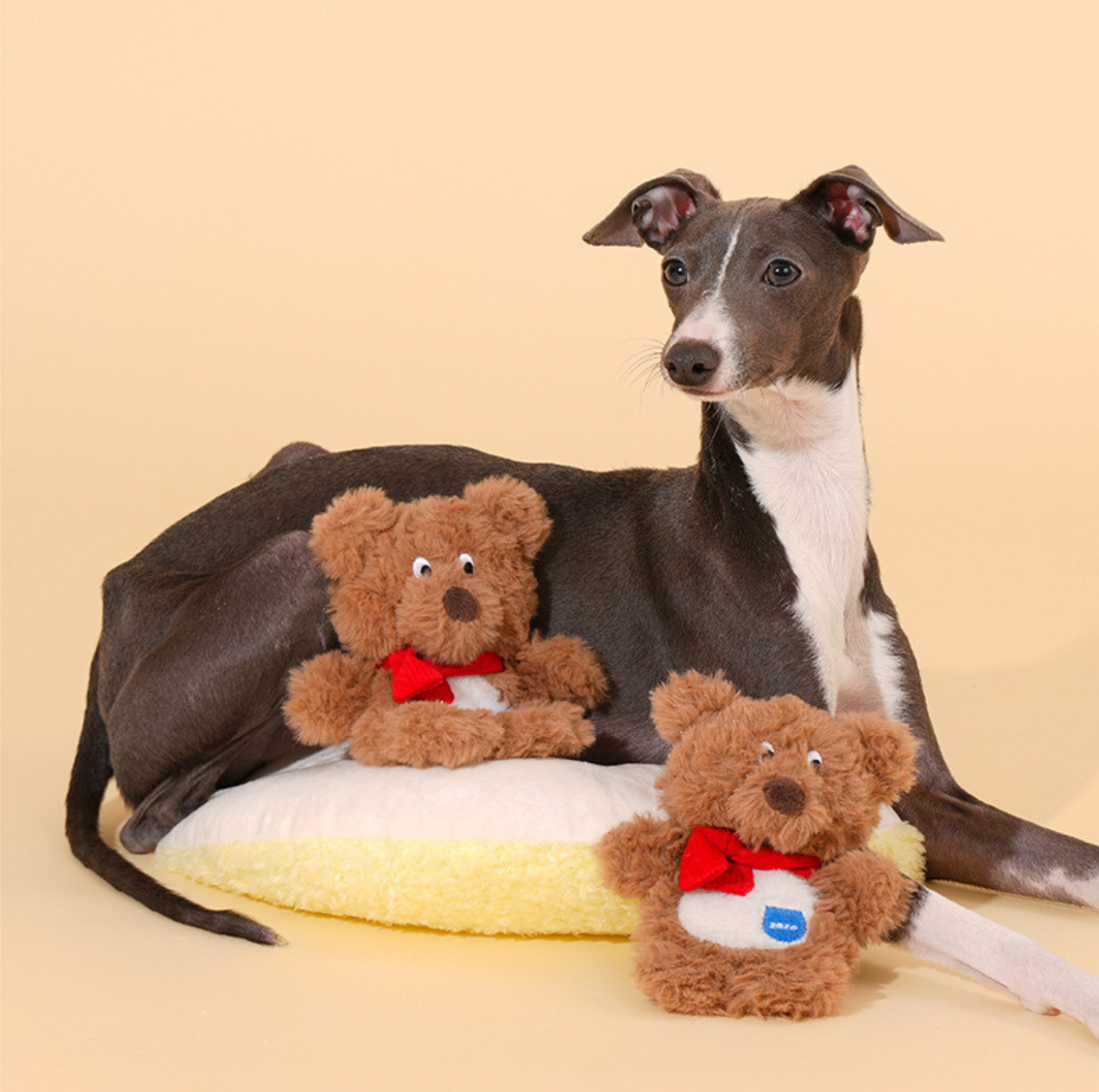 ZeZe Plush Teddy Bear Squeaky Dog Toy