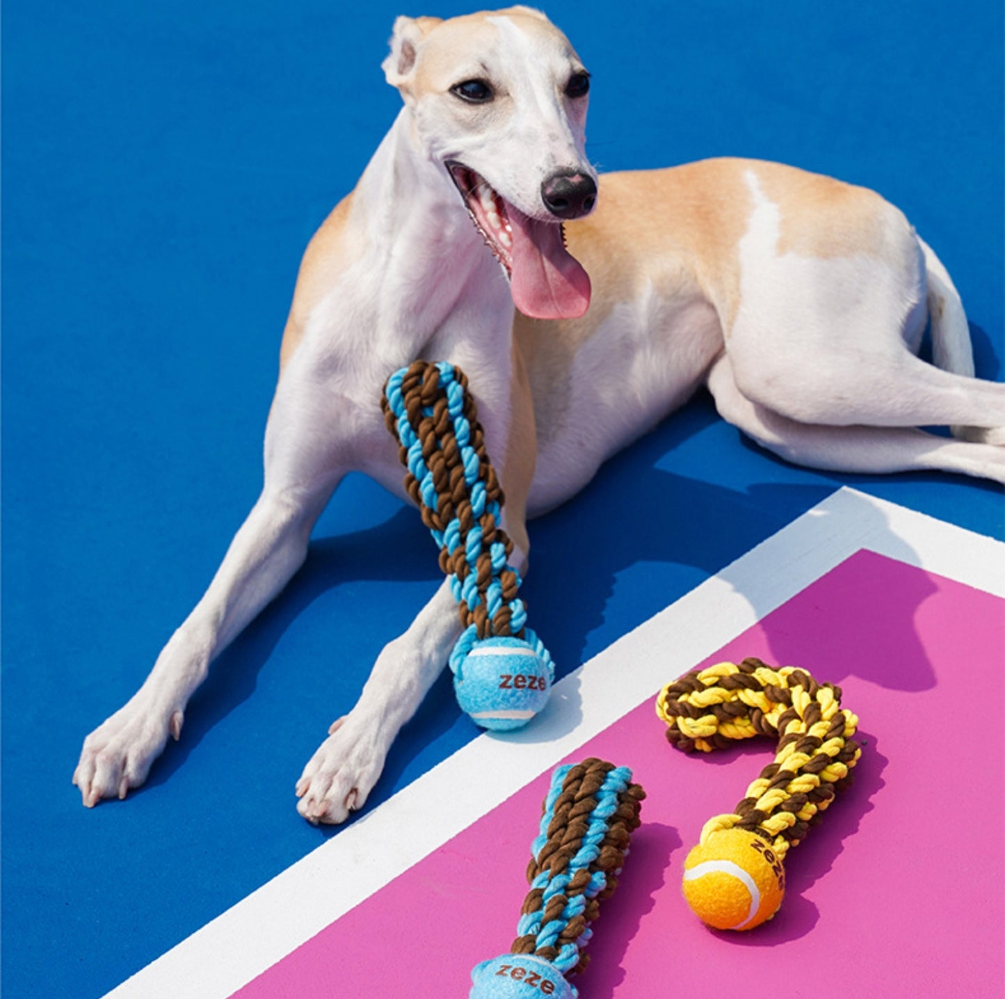 ZeZe Durable Rope Chew Toy for Dogs With Flet Ball