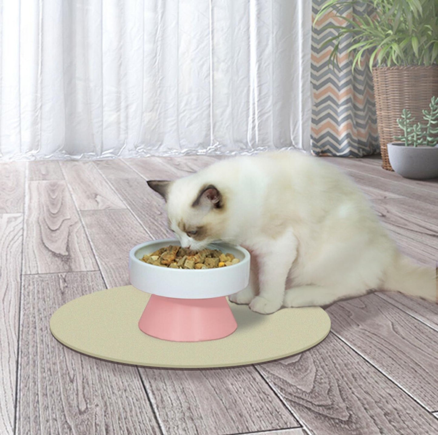 MSBC Premium Elevated Ceramic Cat Bowl Small Dog Bowl