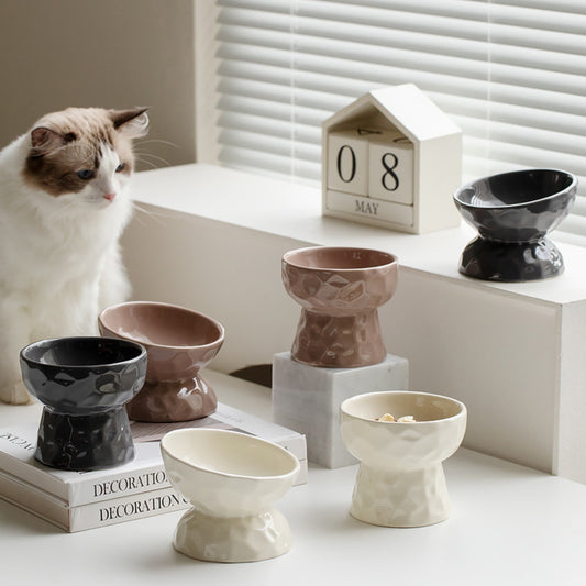 Ceramic Raised Pet Bowl for Cats and Dogs