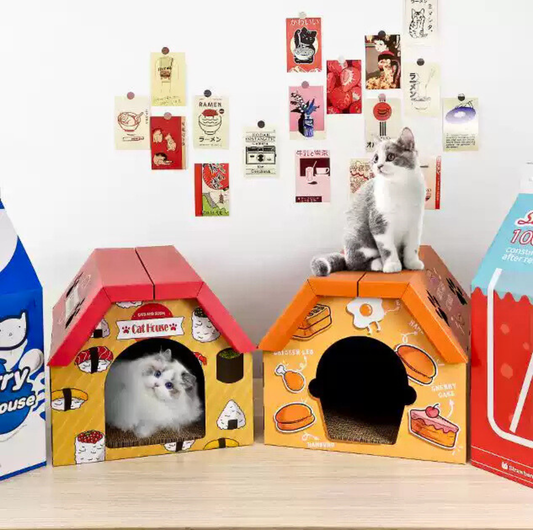 Food Workshop 3D Cardboard Cat Scratcher