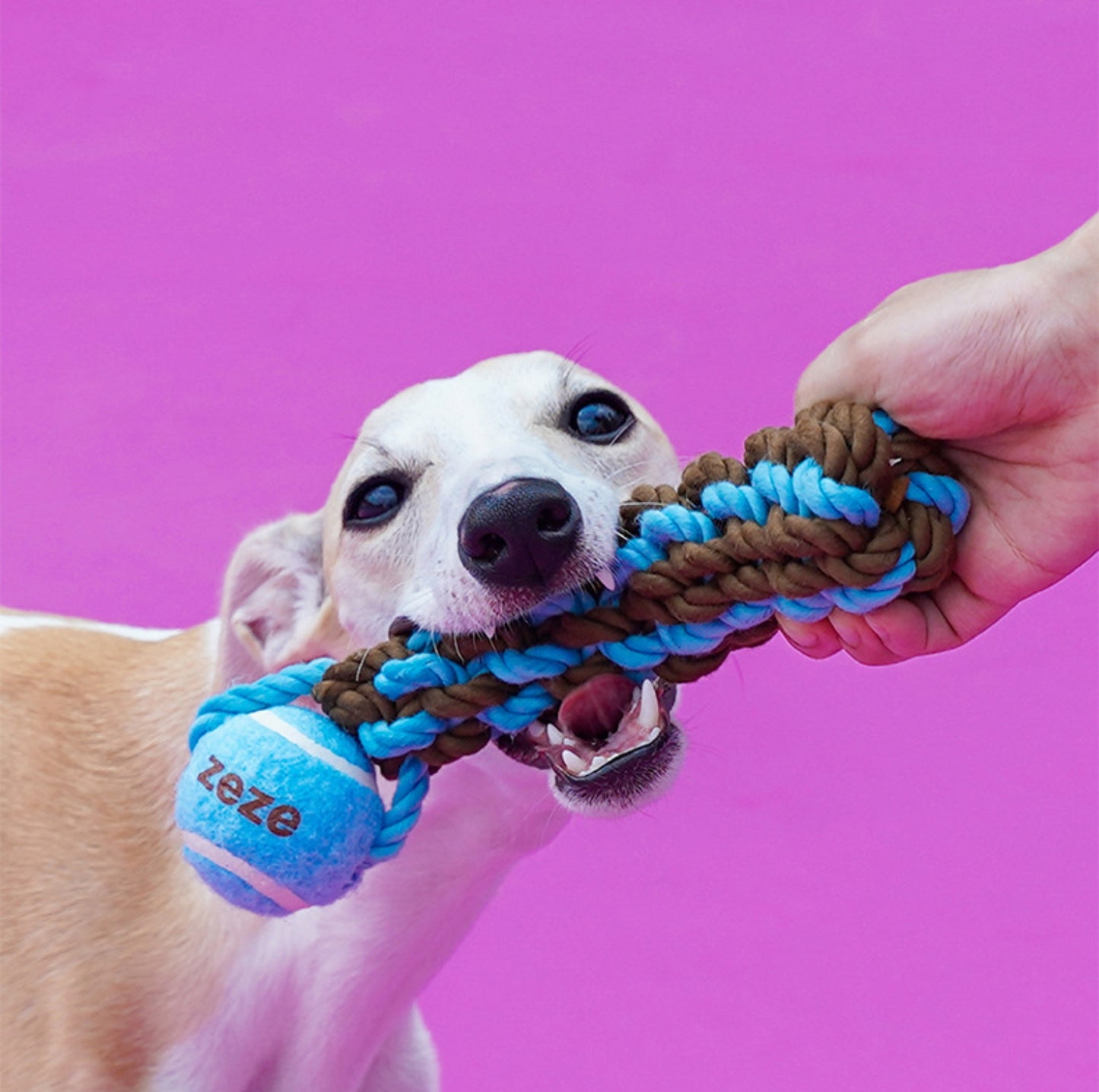 ZeZe Durable Rope Chew Toy for Dogs With Flet Ball