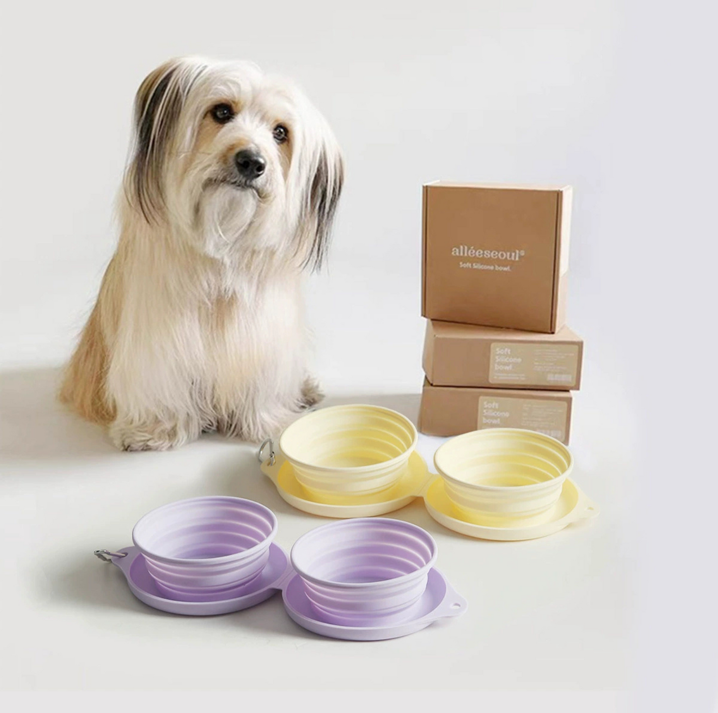 Silicone Foldable Double Pet Feeding Bowl - Portable & Travel-Friendly