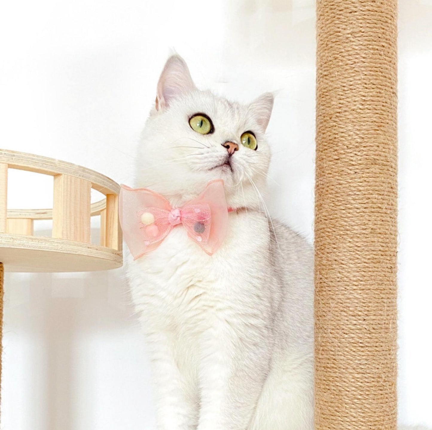 Adjustable Pet Collar with Lace, Pompom, & Glitter Butterfly
