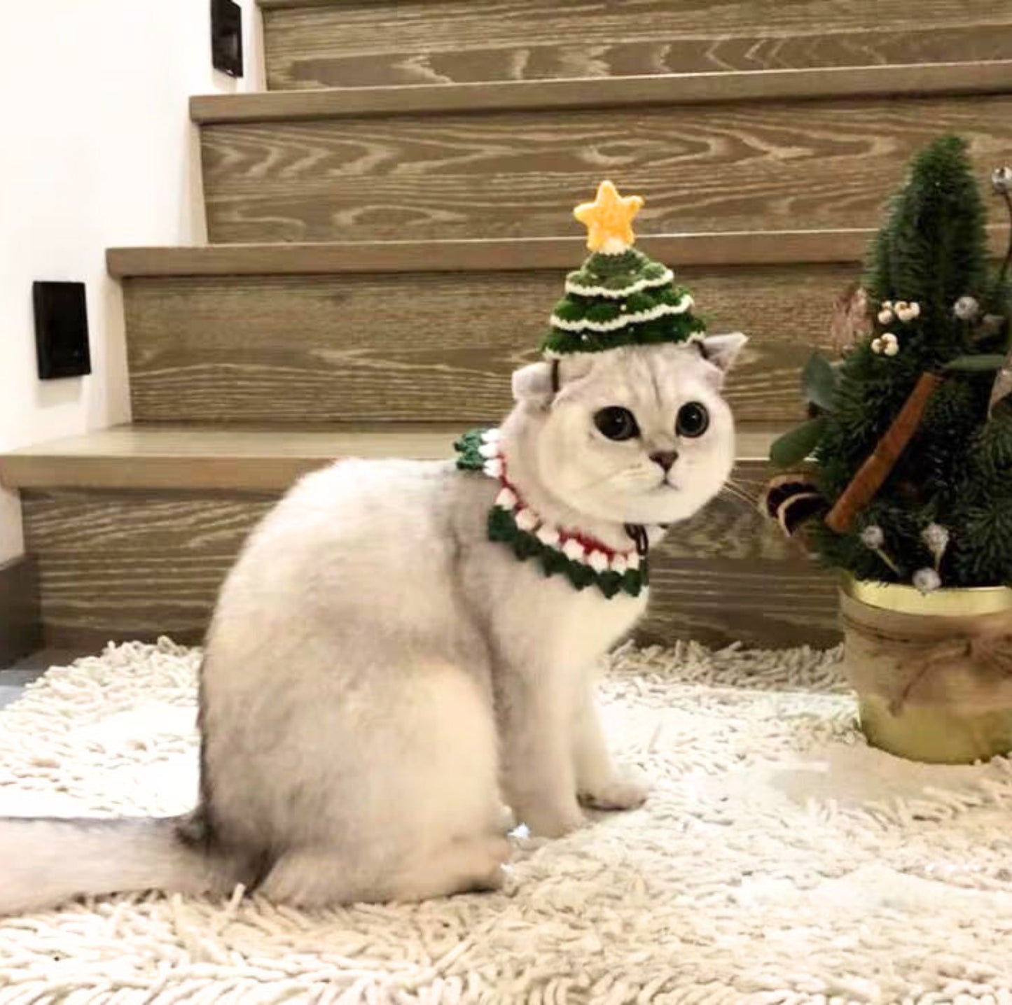 Knitted Pine Tree Christmas Pet Hat: Handcrafted Festive Accessory for Cats & Small-Medium Dogs
