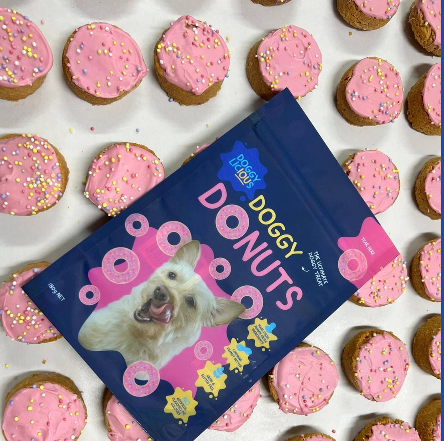 Doggylicious Doggy Donuts