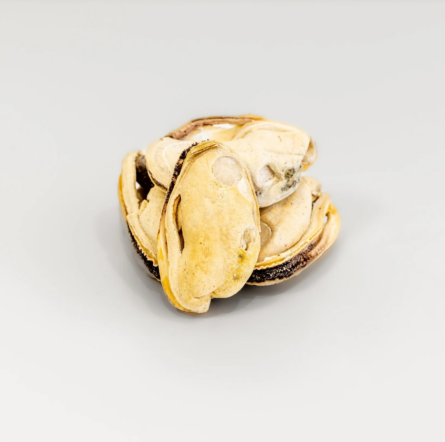 RAFA Raw Freeze-Dried Treats | Human-Grade Green Lipped Mussels