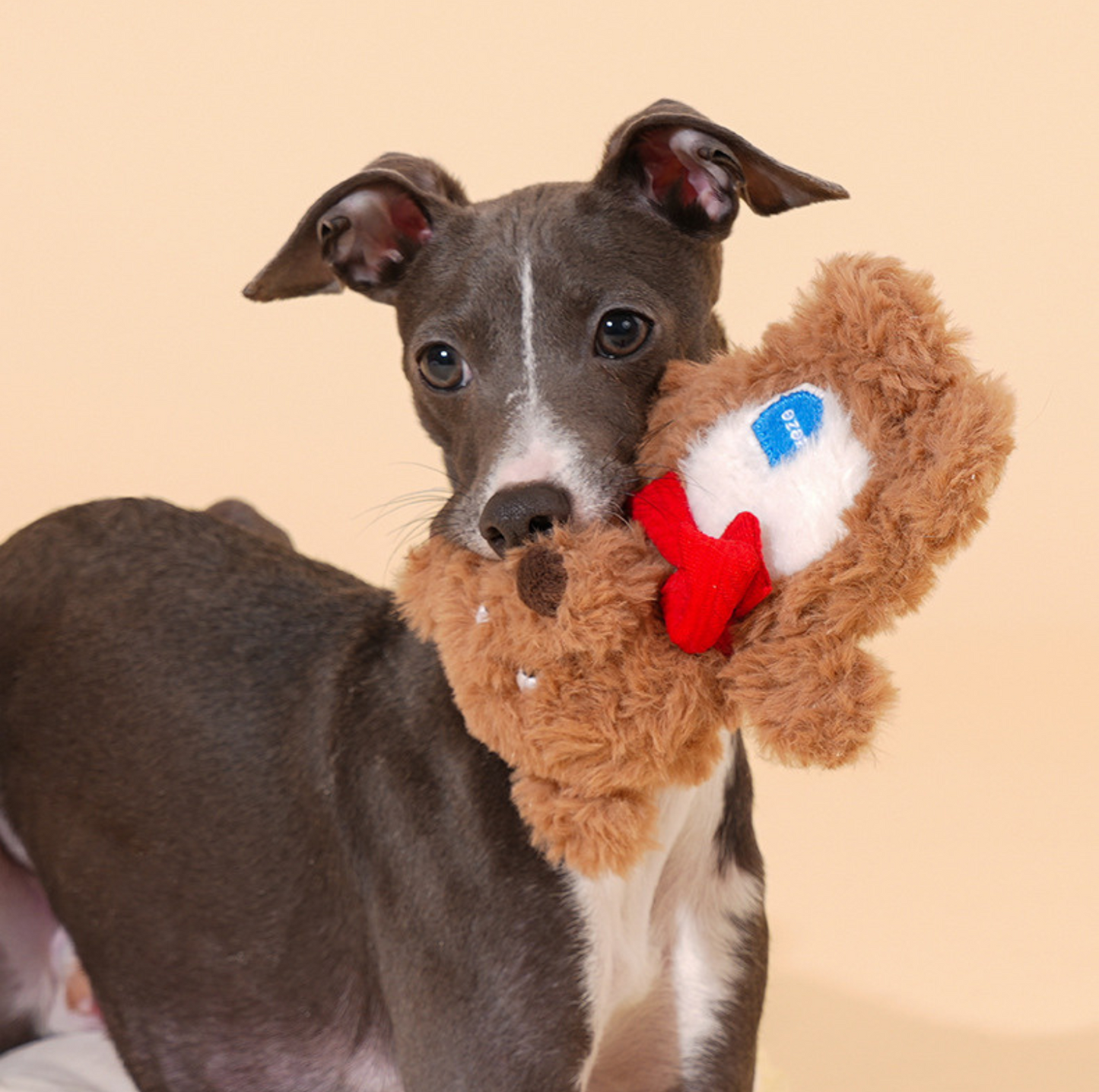 ZeZe Plush Teddy Bear Squeaky Dog Toy