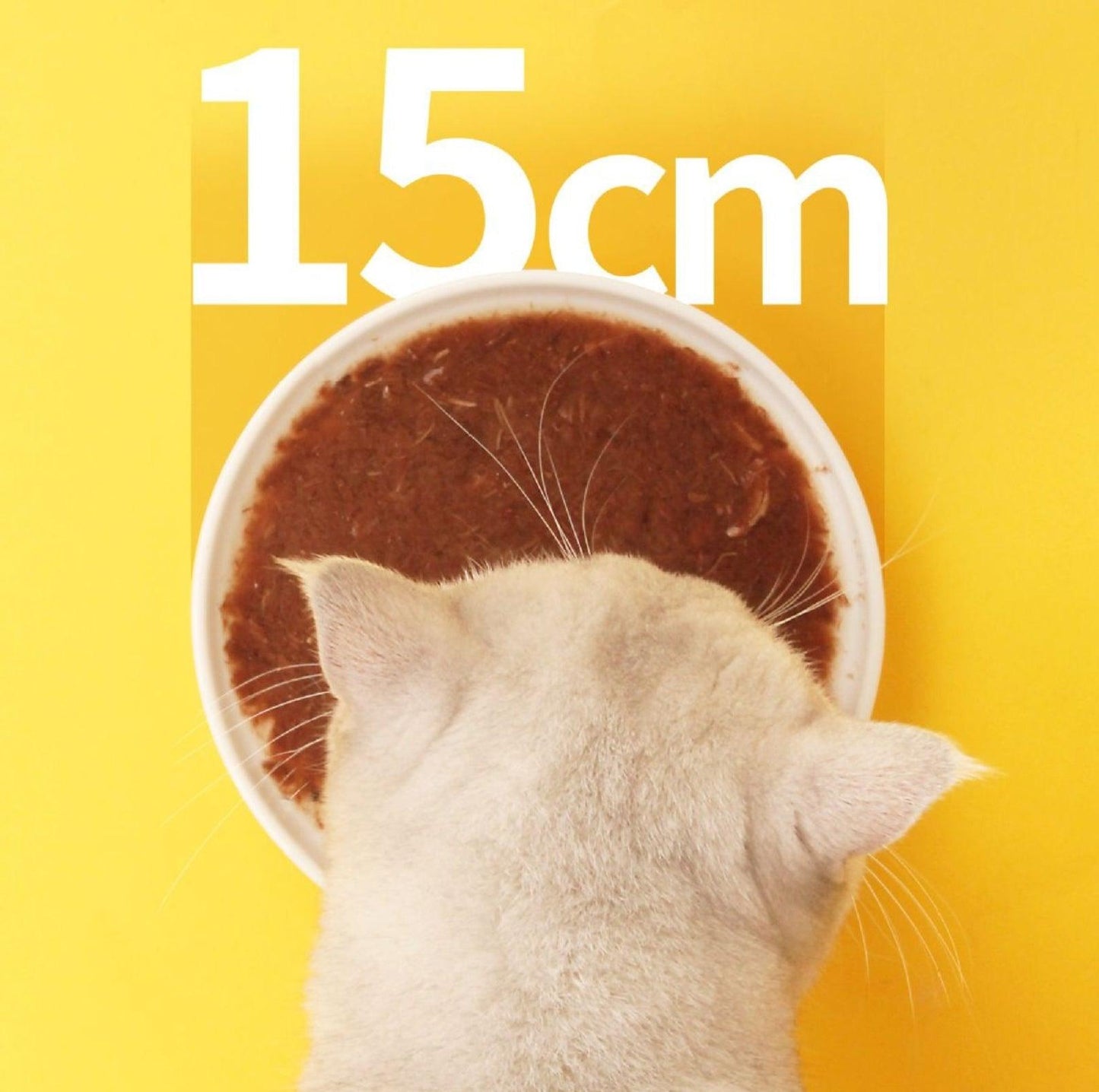 Ceramic Pet Food Plate Set Cat Bowls Small Dog Bowls - Two Matching Plates - {{product.type}} - PawPawUp