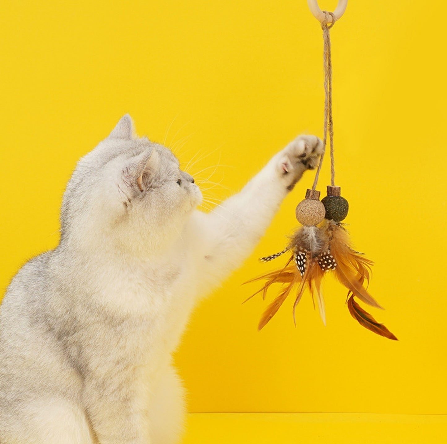 ZeZe Silvervine Cat Toy