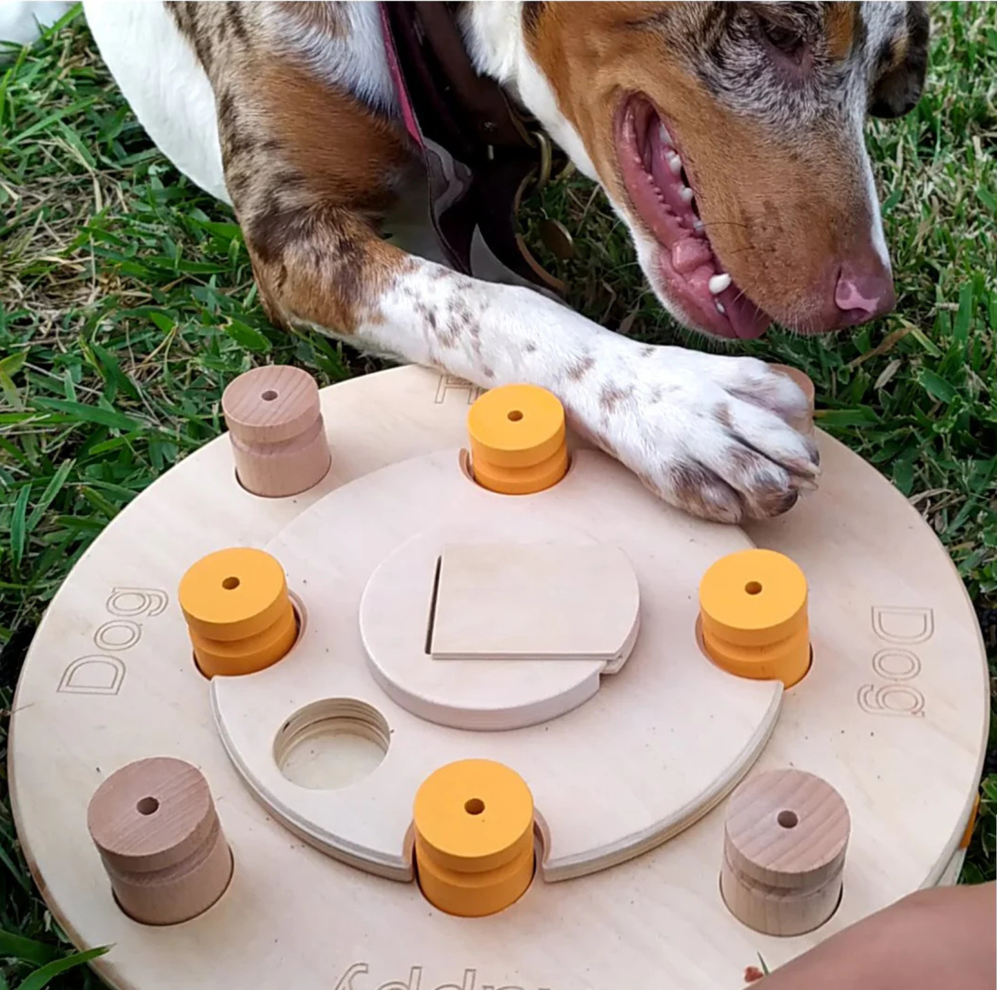 Interactive Wooden Dog Puzzle Toy – Birthday Cake Treat Game