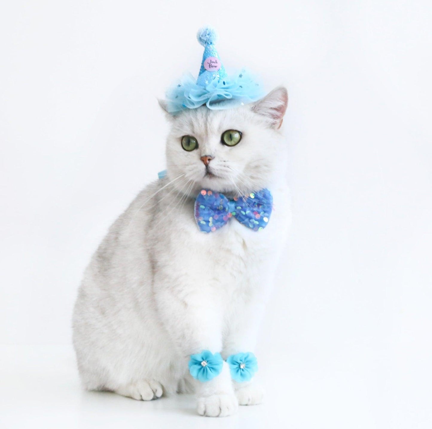 Lace & Glitter Pet Birthday Celebration Kit - Hat, Bowtie & Paw-Rings
