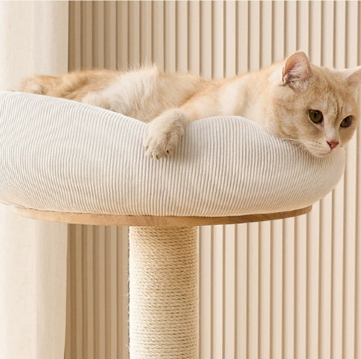 3-Tier Wooden Cat Tree with Scratching Posts & Play Features