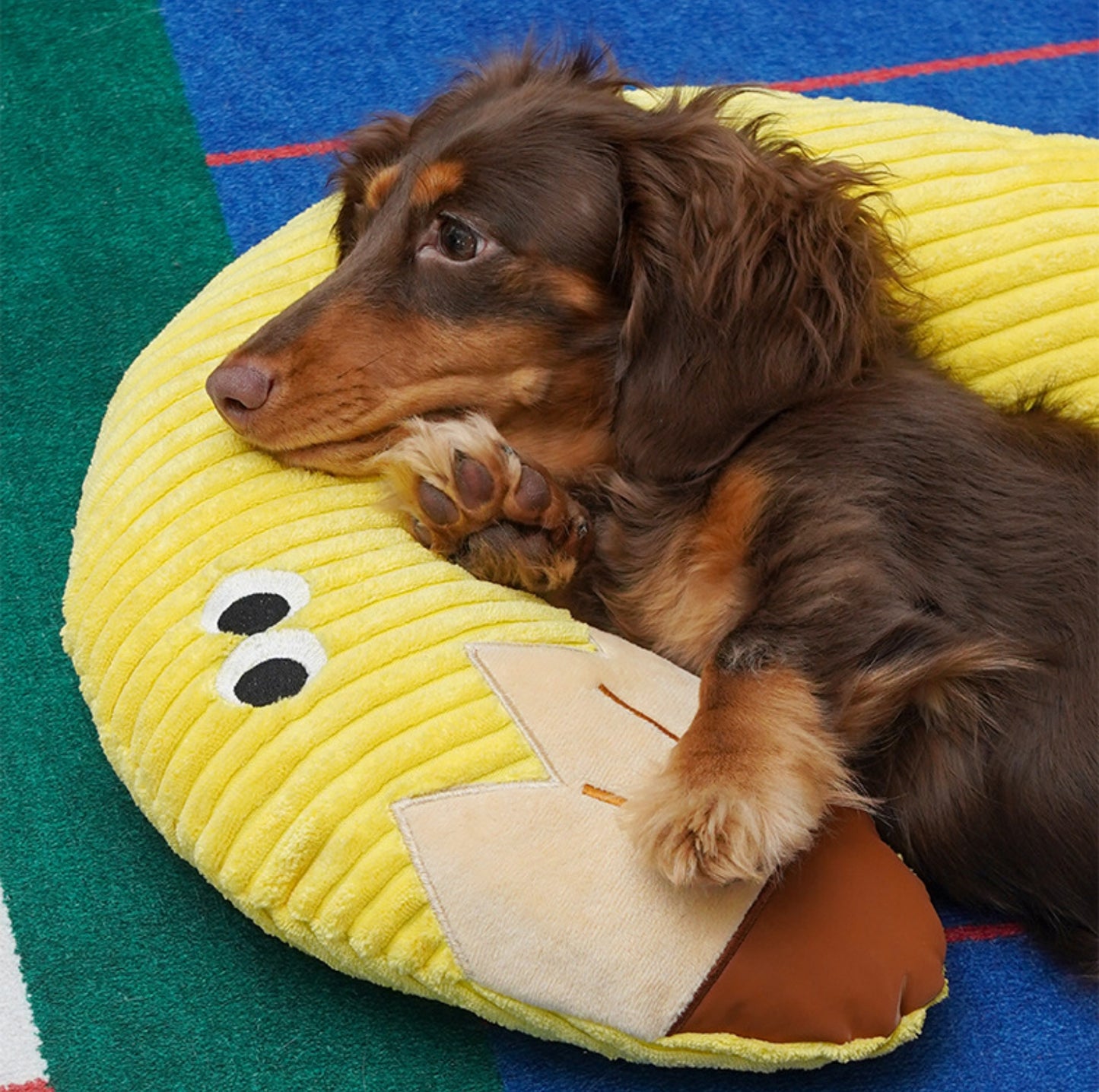 ZeZe "Question Mark" Pet Pillow