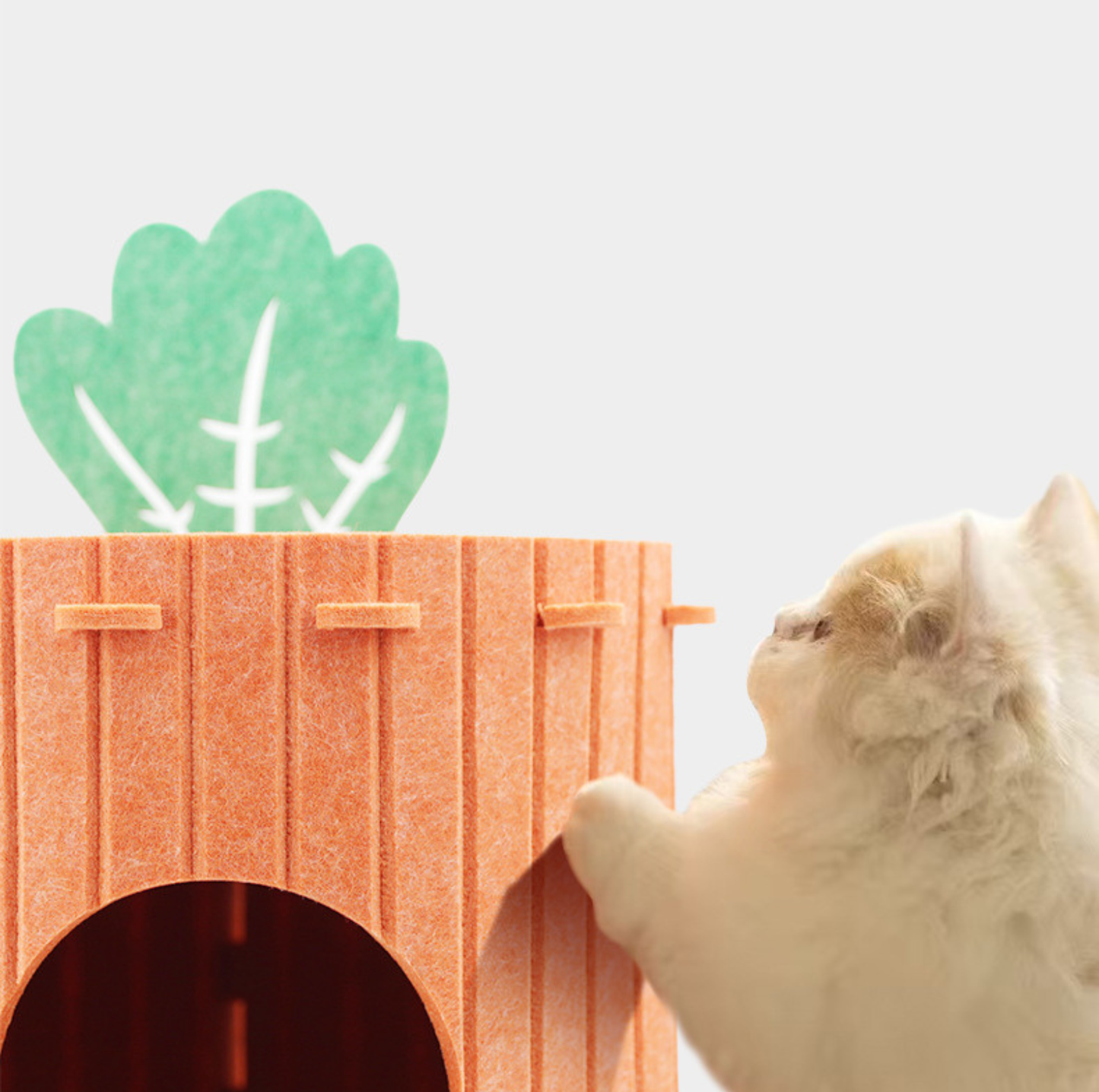 Carrot Style Felt Cat Barrel Bed