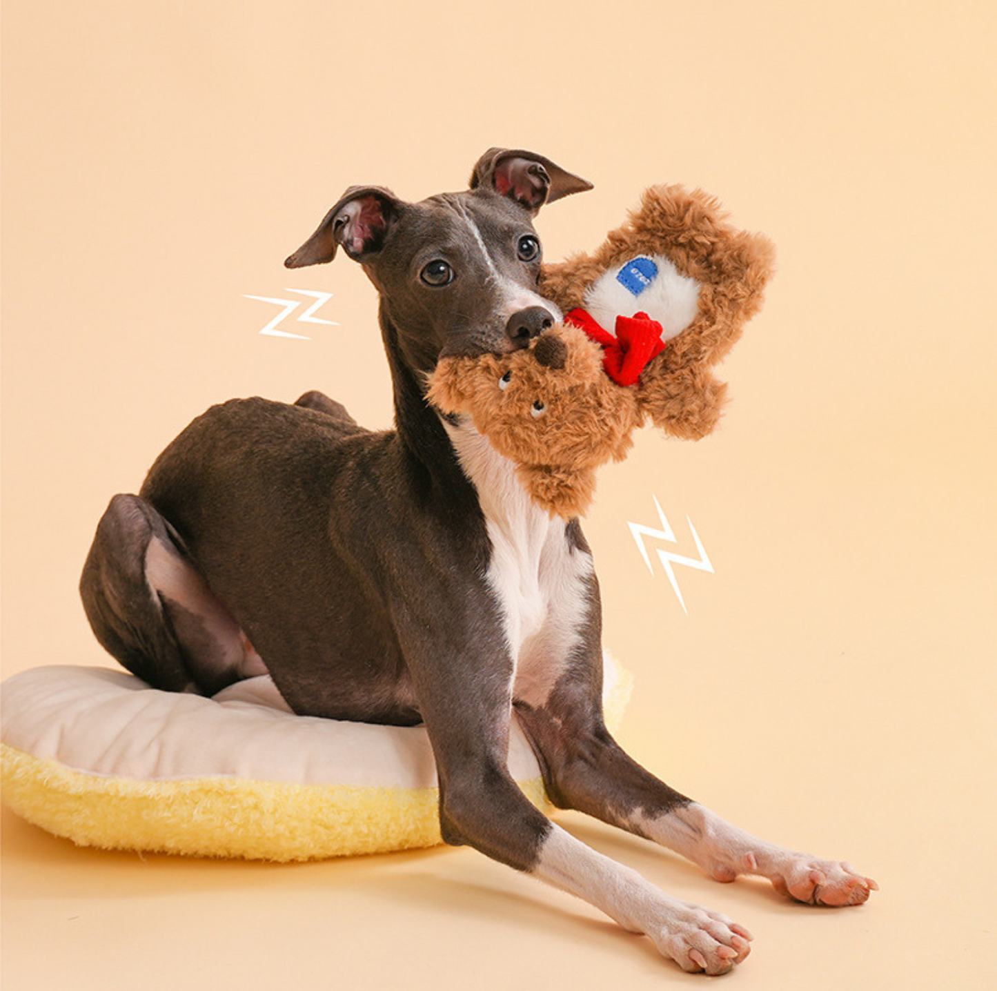 ZeZe Plush Teddy Bear Squeaky Dog Toy