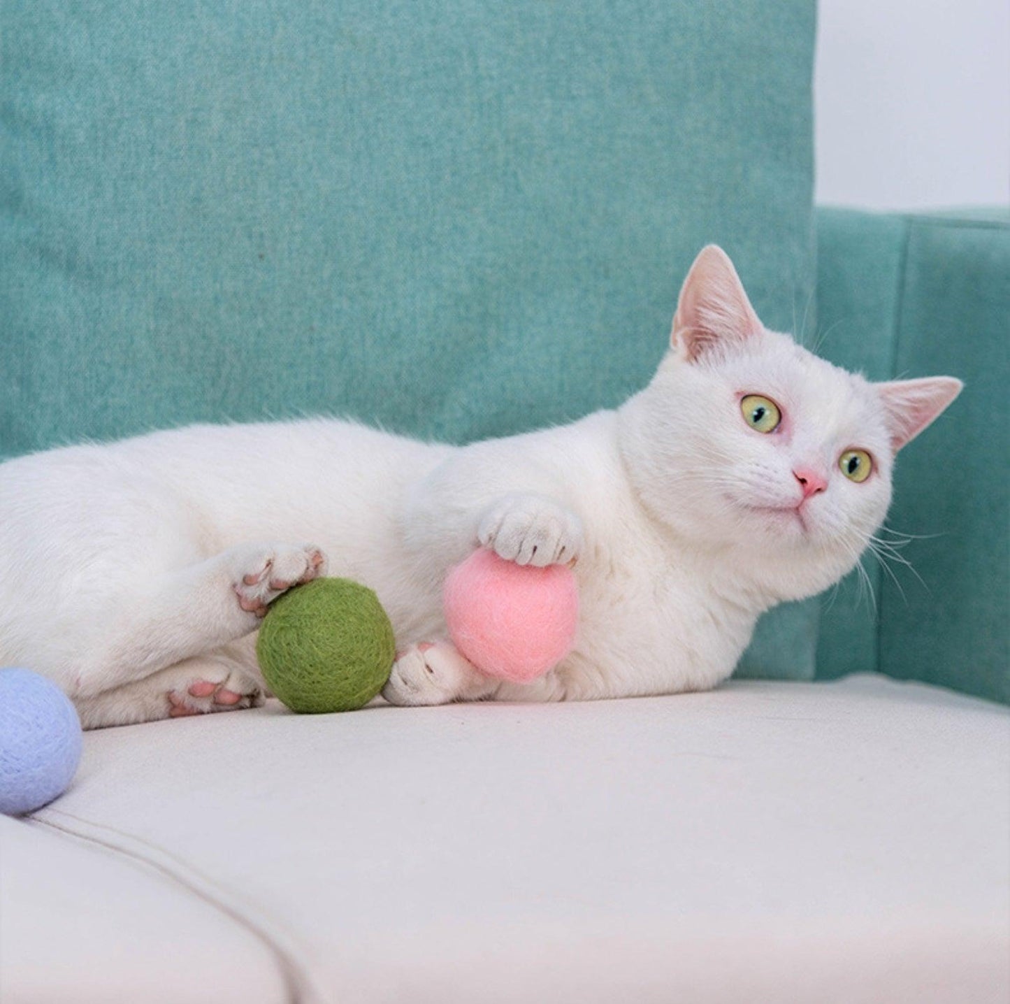 Colourful Woolen Cat/Dog Toy Ball Set (6pcs/comes with random colour)