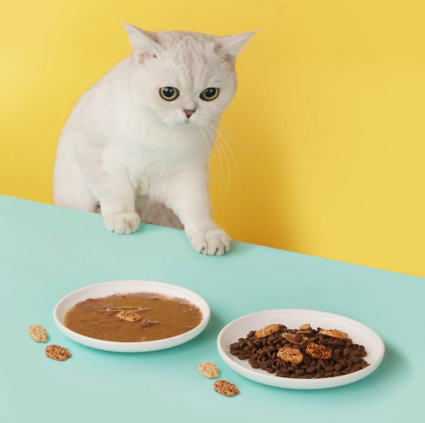 Ceramic Pet Food Plate Set Cat Bowls Small Dog Bowls - Two Matching Plates - {{product.type}} - PawPawUp