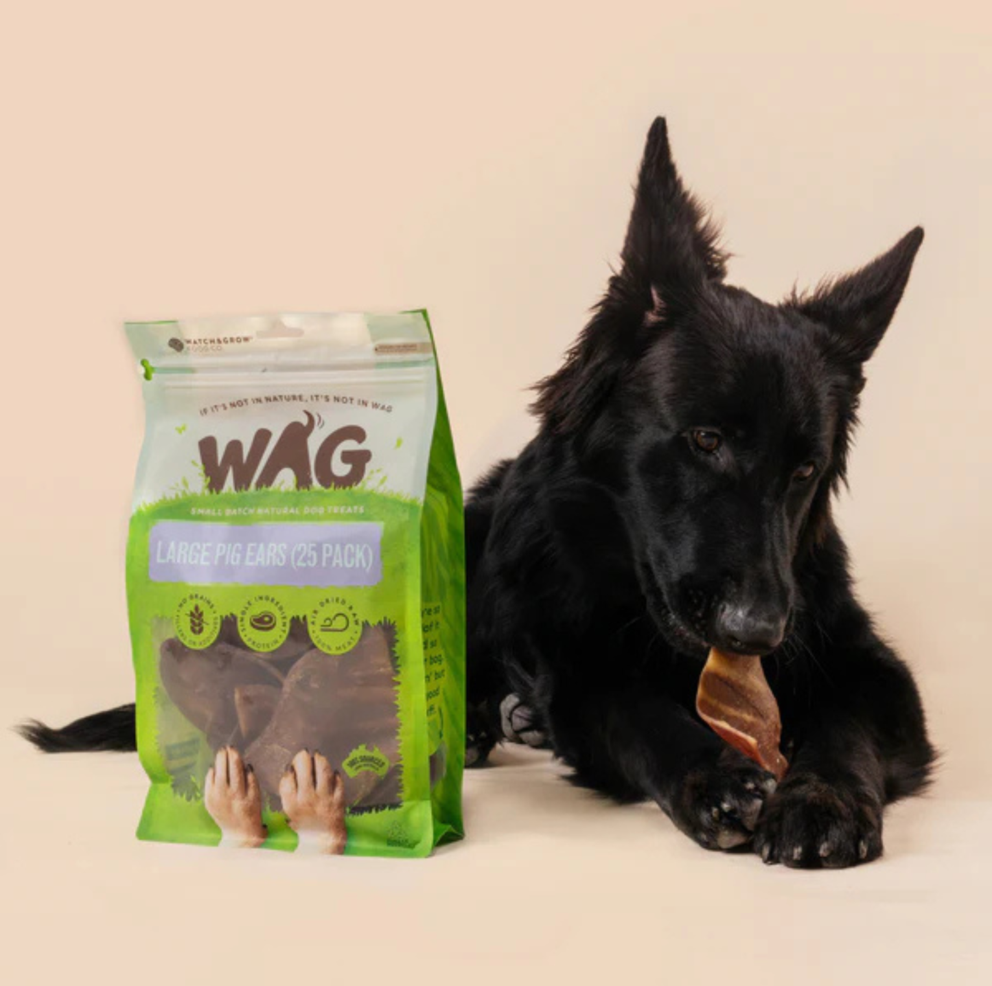 WAG Large Pig Ears 5 Pack Dog Treat