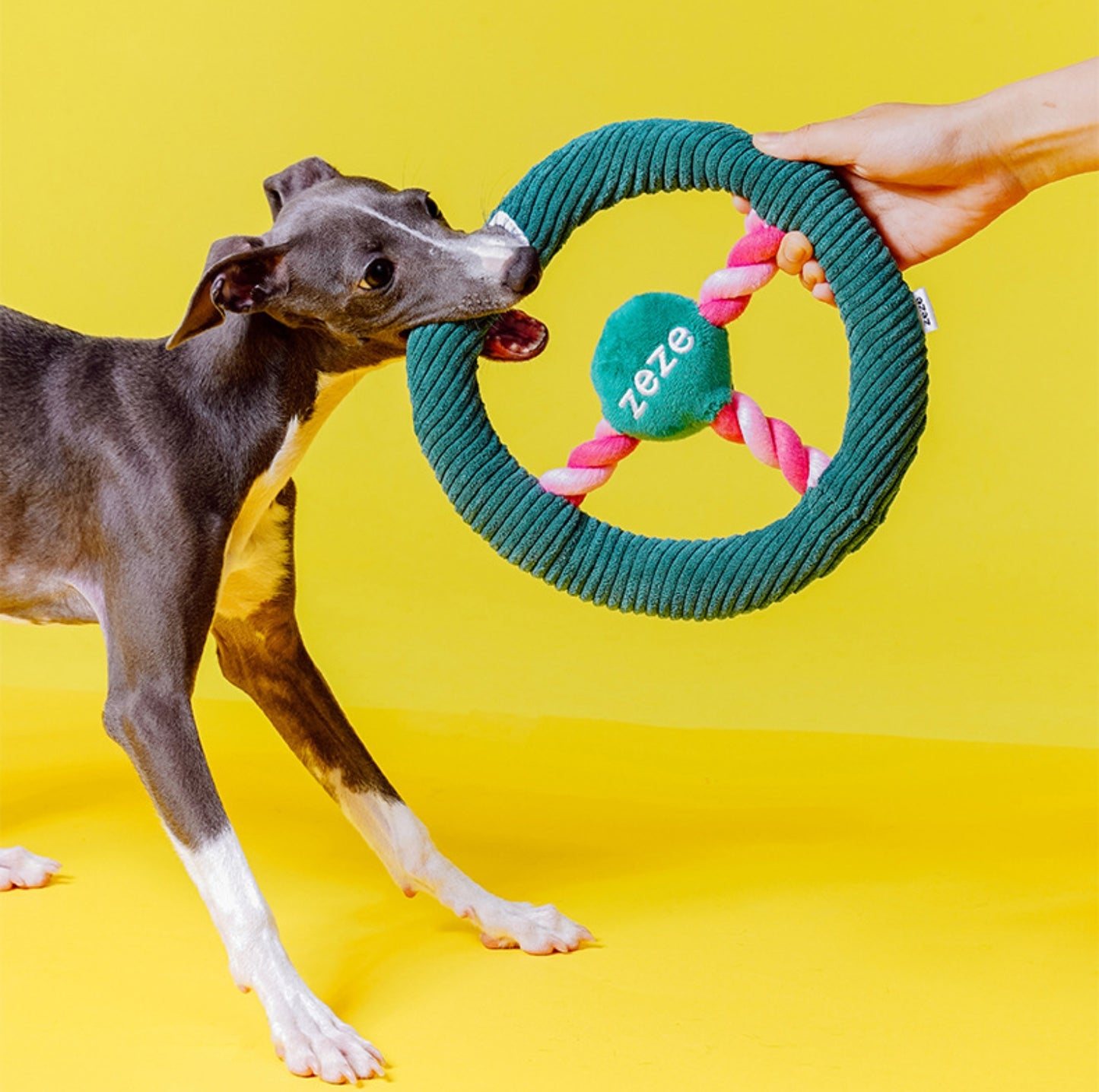 ZEZE Steering-Wheel Shaped Dog Toy