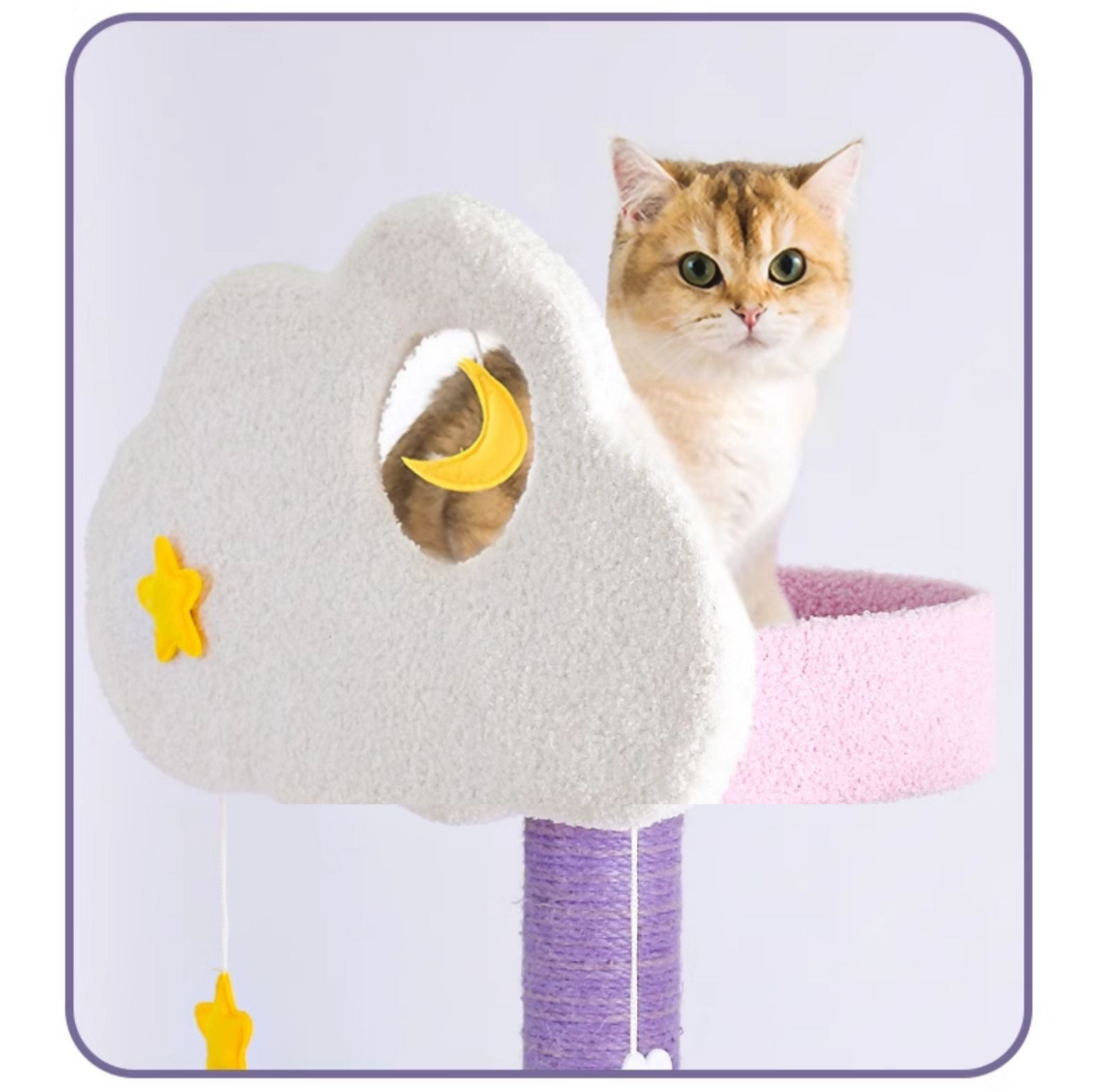 Fantasy Series - Galaxy Echo Super Large Cat Tree With Scratching Post (Height 170cm)