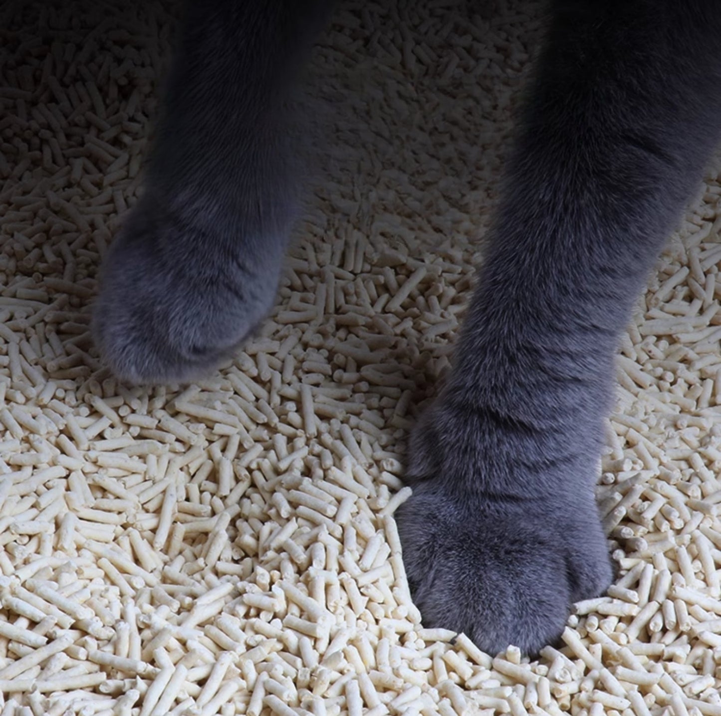 Weelitter Tofu Cat Litter: Natural, Comfortable & Eco-Friendly