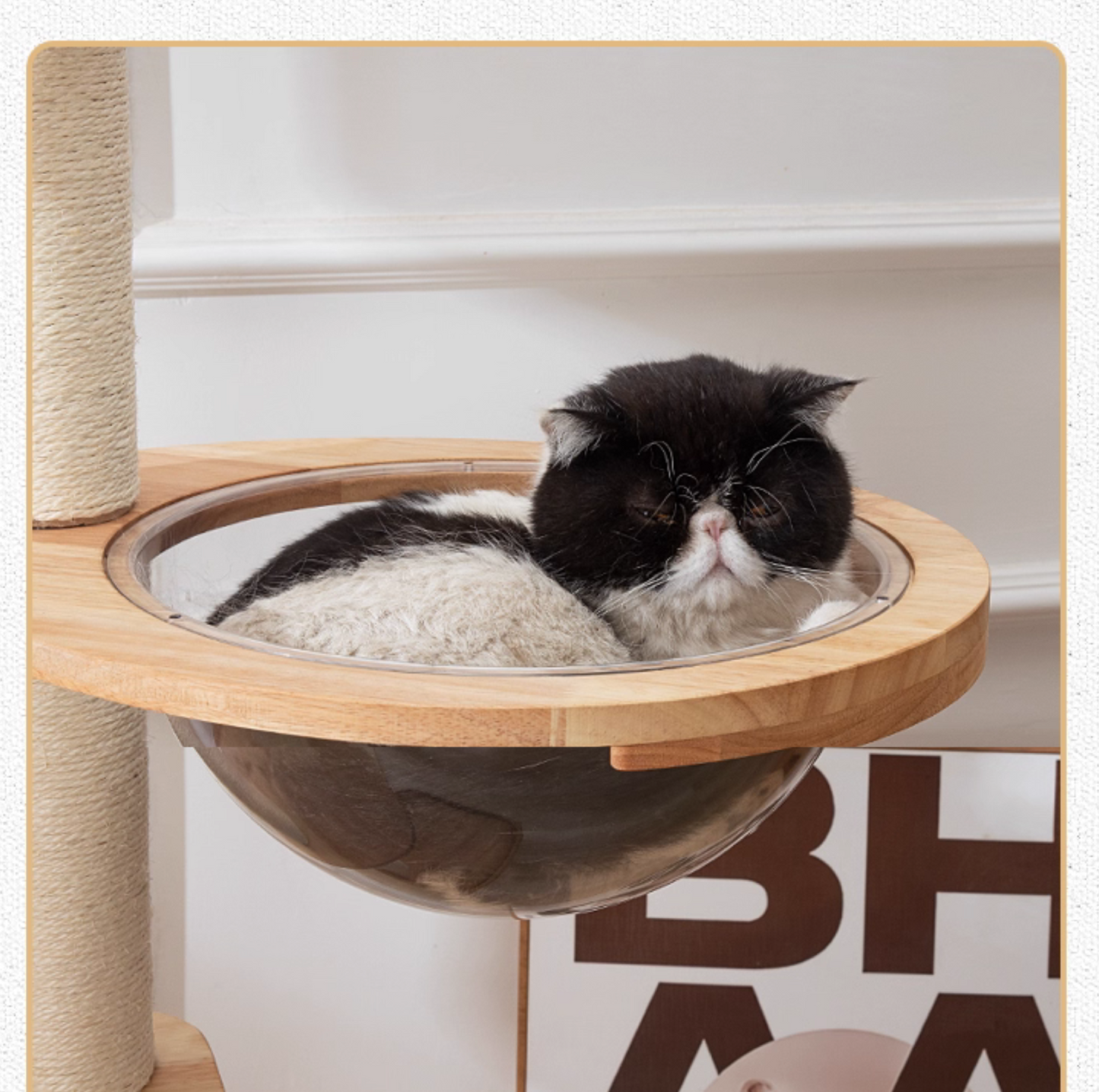 150cm Solid Oak Wood Cat Tree Tower with full Sisal Posts - 81004s