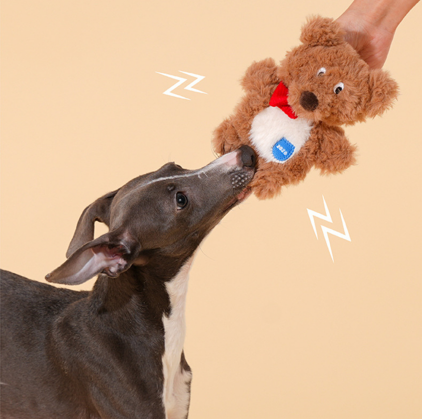 ZeZe Plush Teddy Bear Squeaky Dog Toy