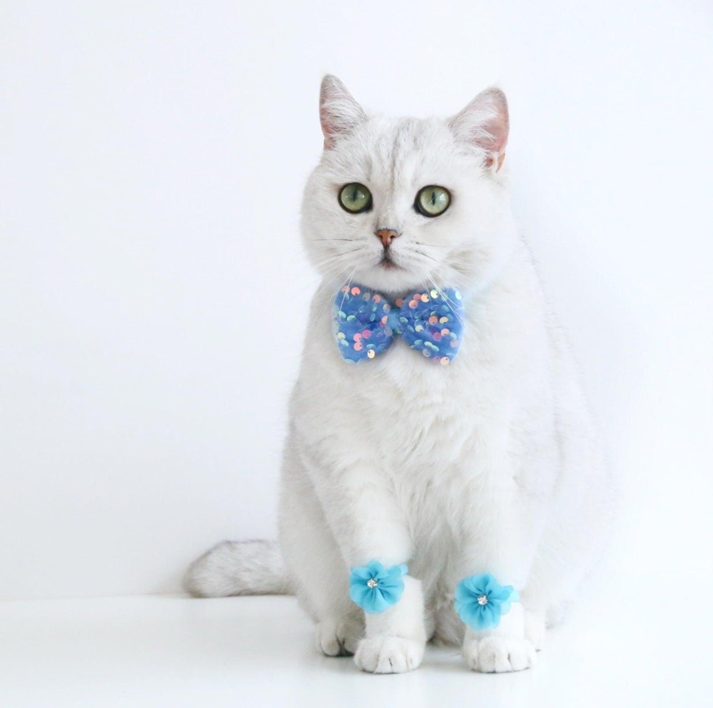 Lace & Glitter Pet Birthday Celebration Kit - Hat, Bowtie & Paw-Rings