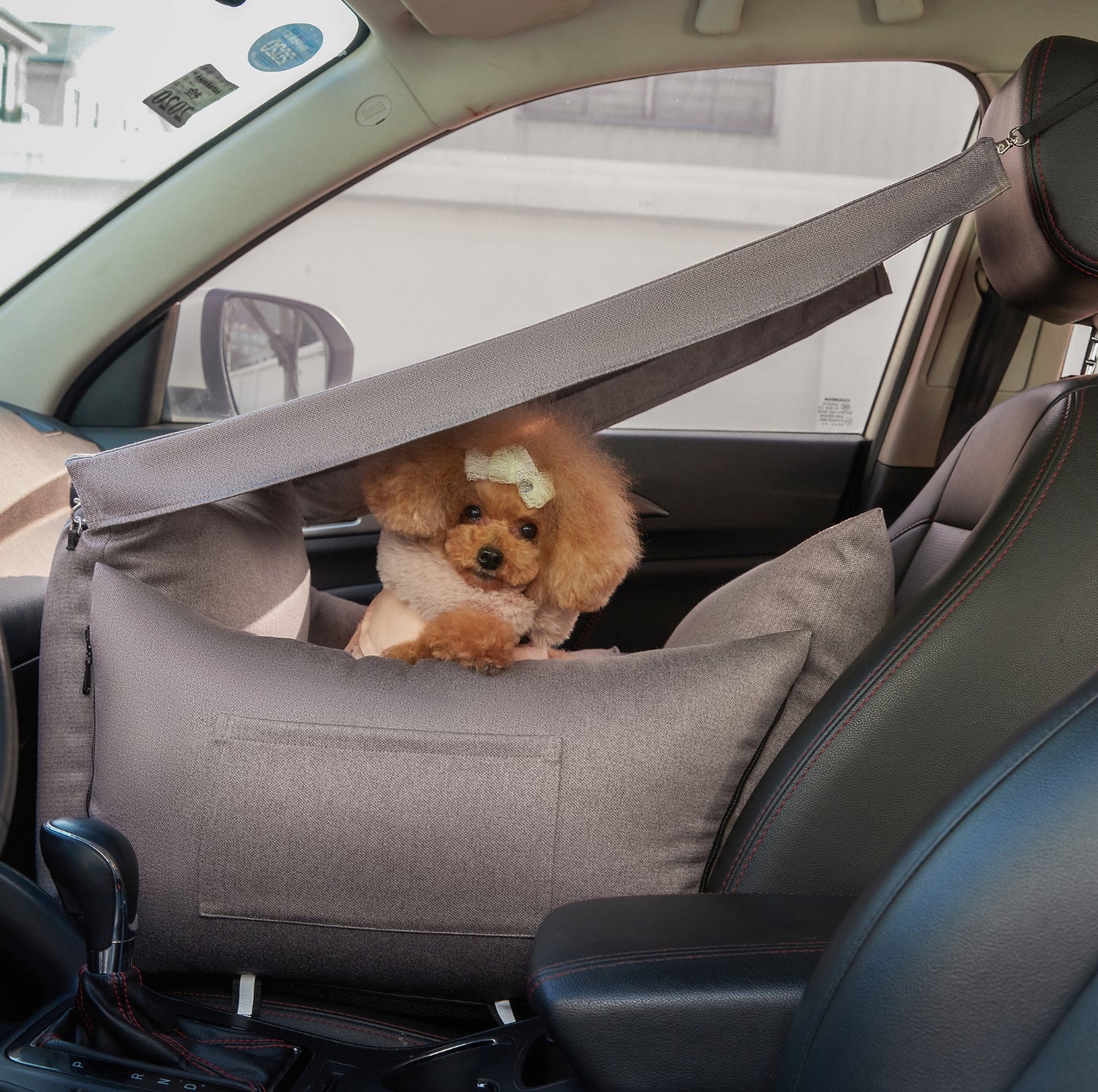DOTOUUD 3-in-1 Pet Car Seat & Bed