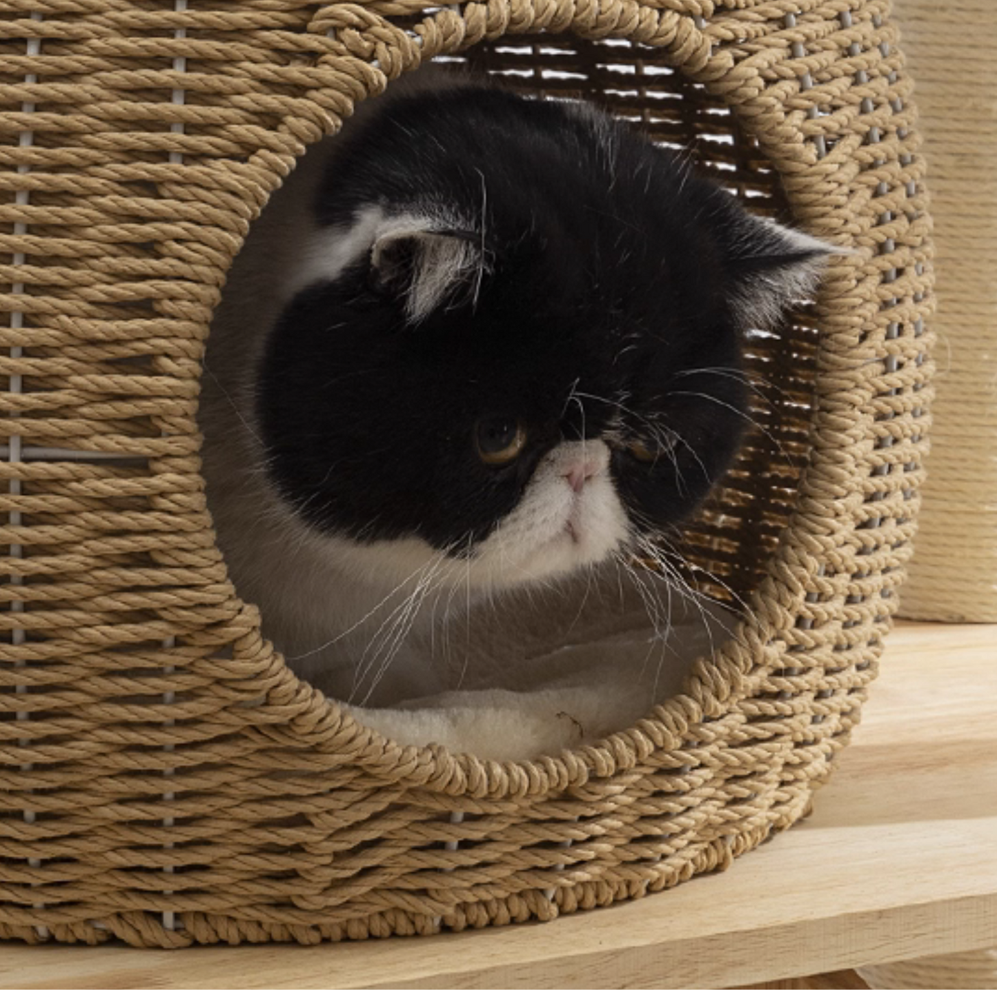 150cm Solid Oak Wood Cat Tree Tower with full Sisal Posts - 81004s