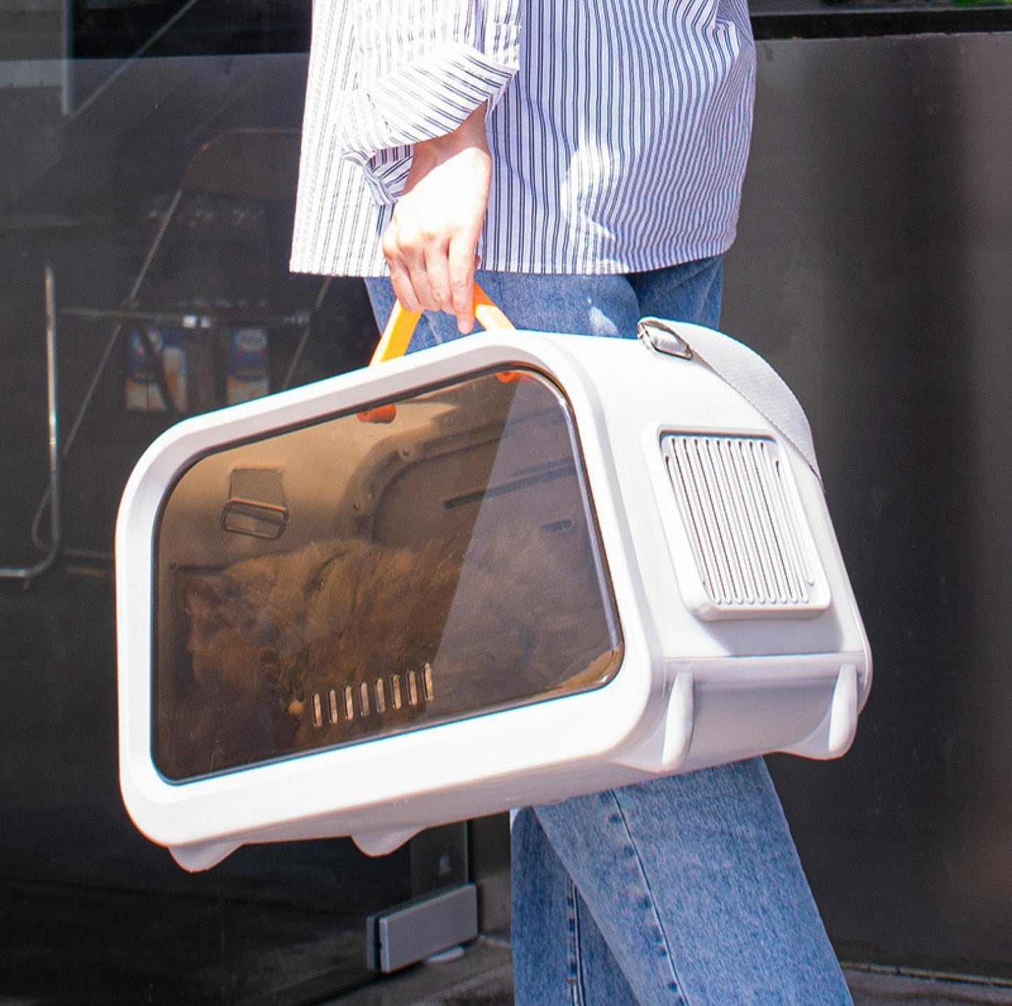 Stylish Shoulder Bag-Styled Pet Cat Carrier