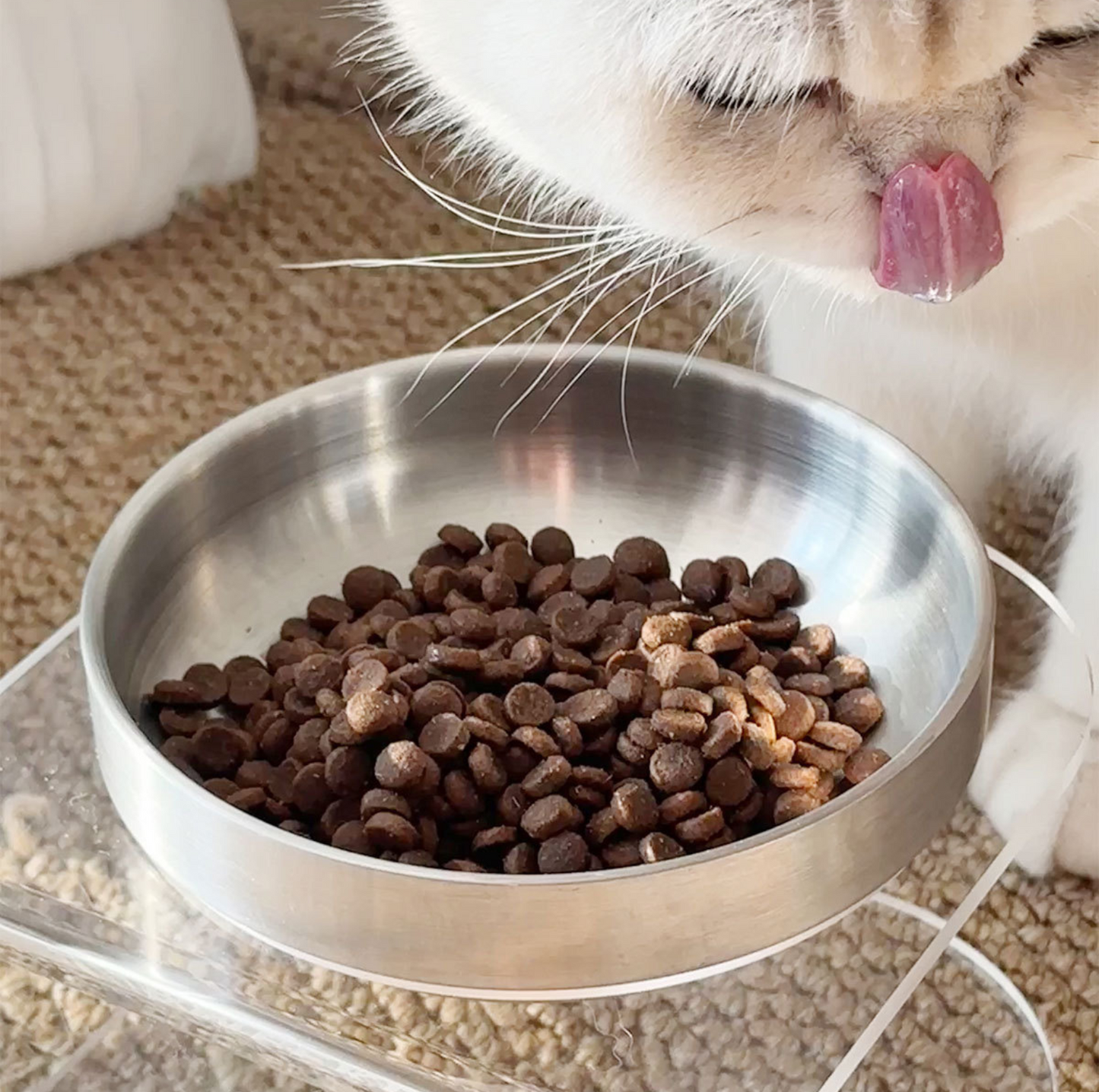 304 Stainless Steel Pet Food Bowl with Acrylic Stand