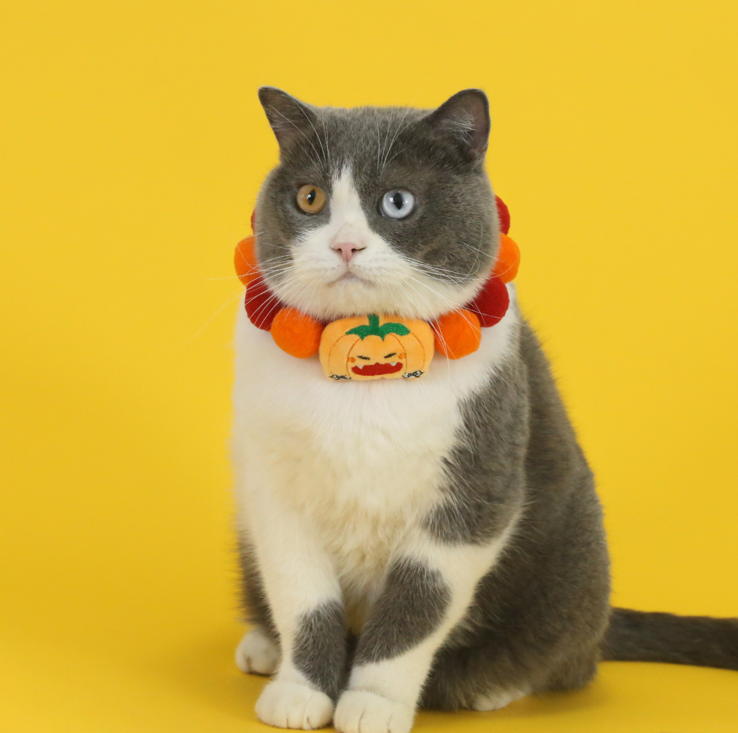 Halloween Plush Ball Collar for Cats and Small Dogs – Soft Cotton Design in Pumpkin, Ghost & Black Cat Styles