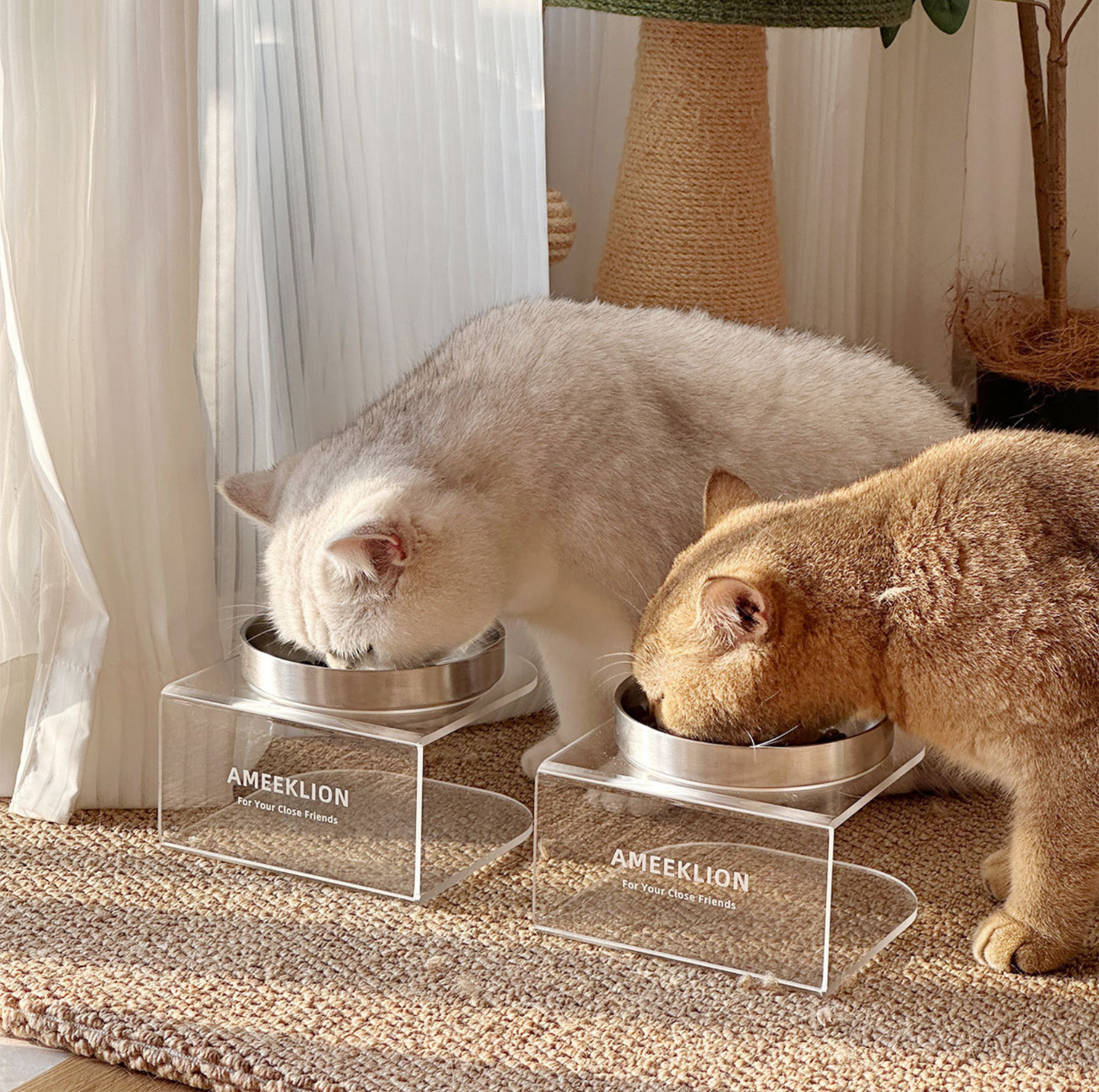 304 Stainless Steel Pet Food Bowl with Acrylic Stand