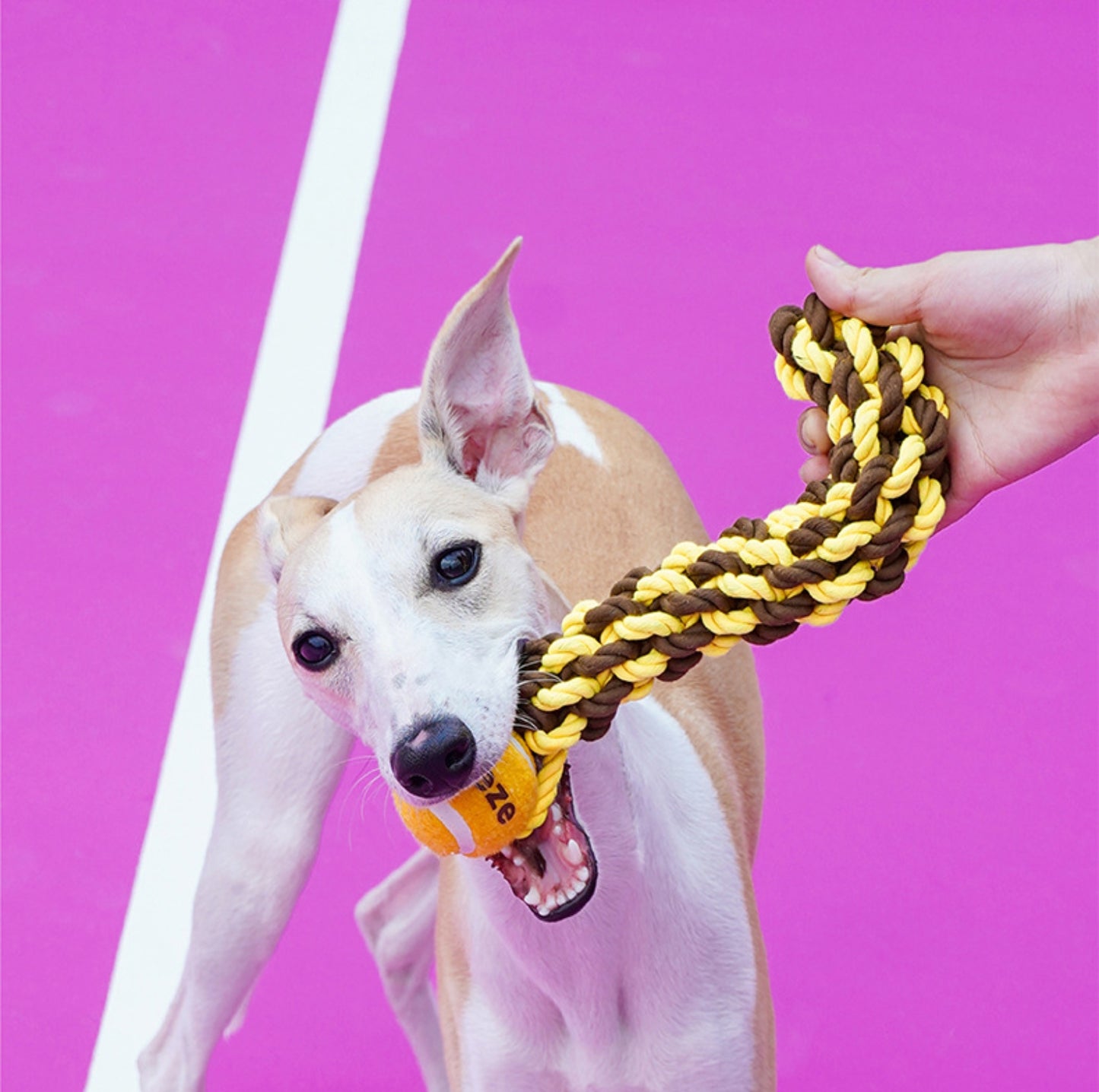 ZeZe Durable Rope Chew Toy for Dogs With Flet Ball