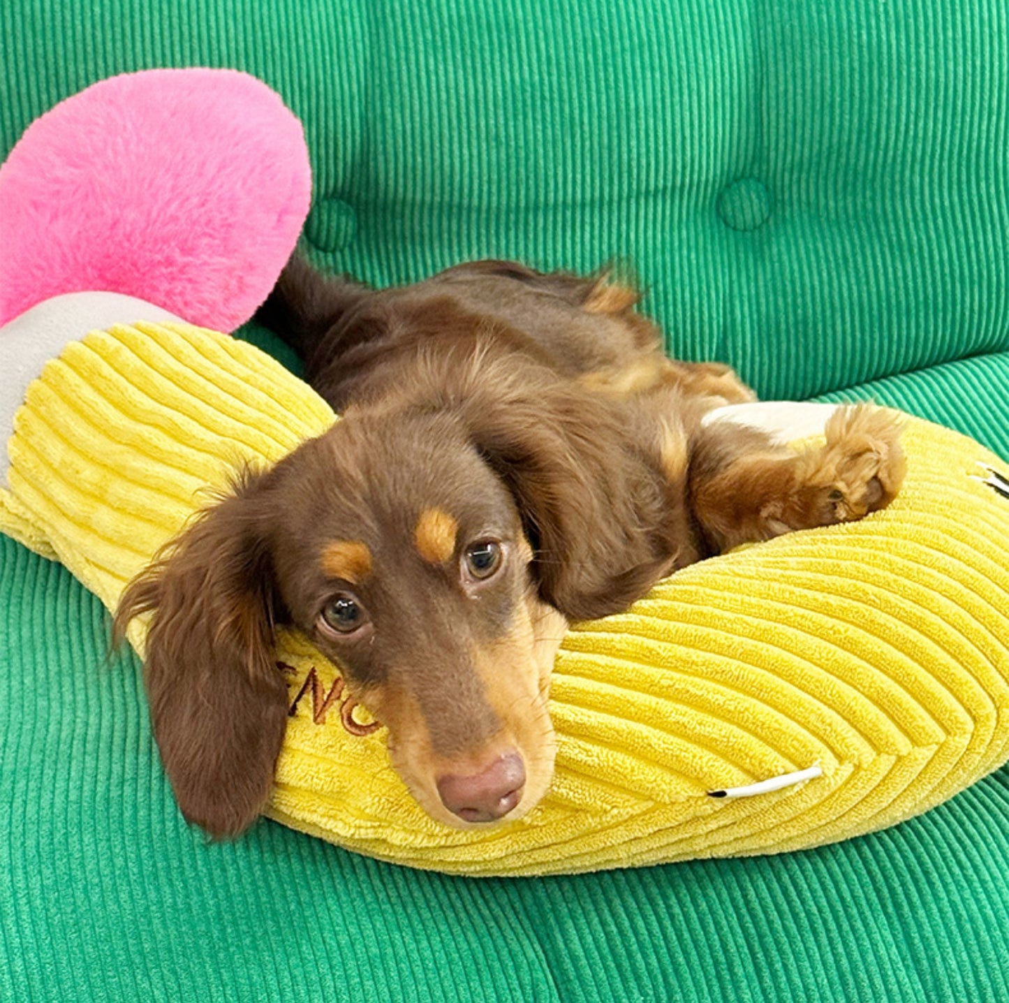 ZeZe "Question Mark" Pet Pillow