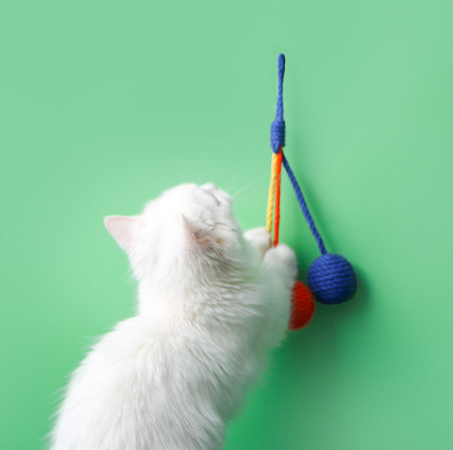 Colourful Sisal Hanging Cat Toy Ball