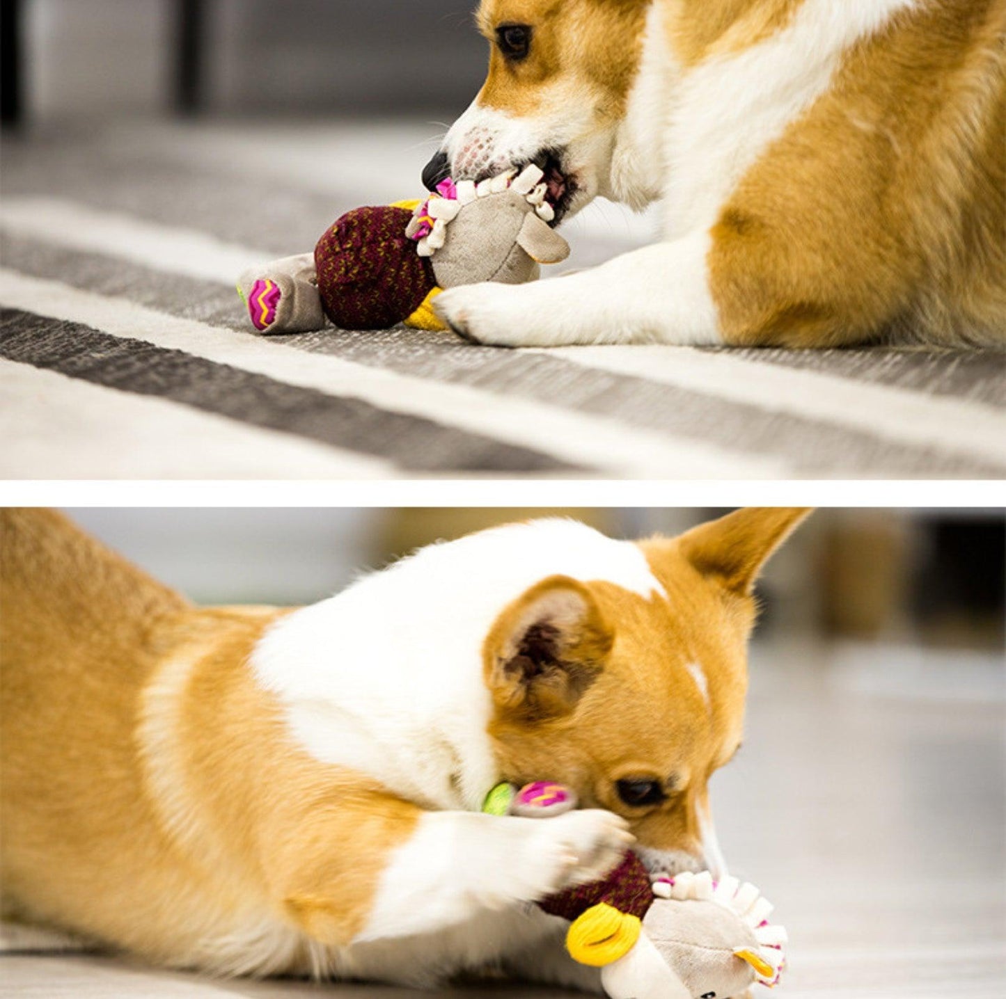 GiGwi Honour Series - Interactive Plush Squeaky Toys for Small Dogs