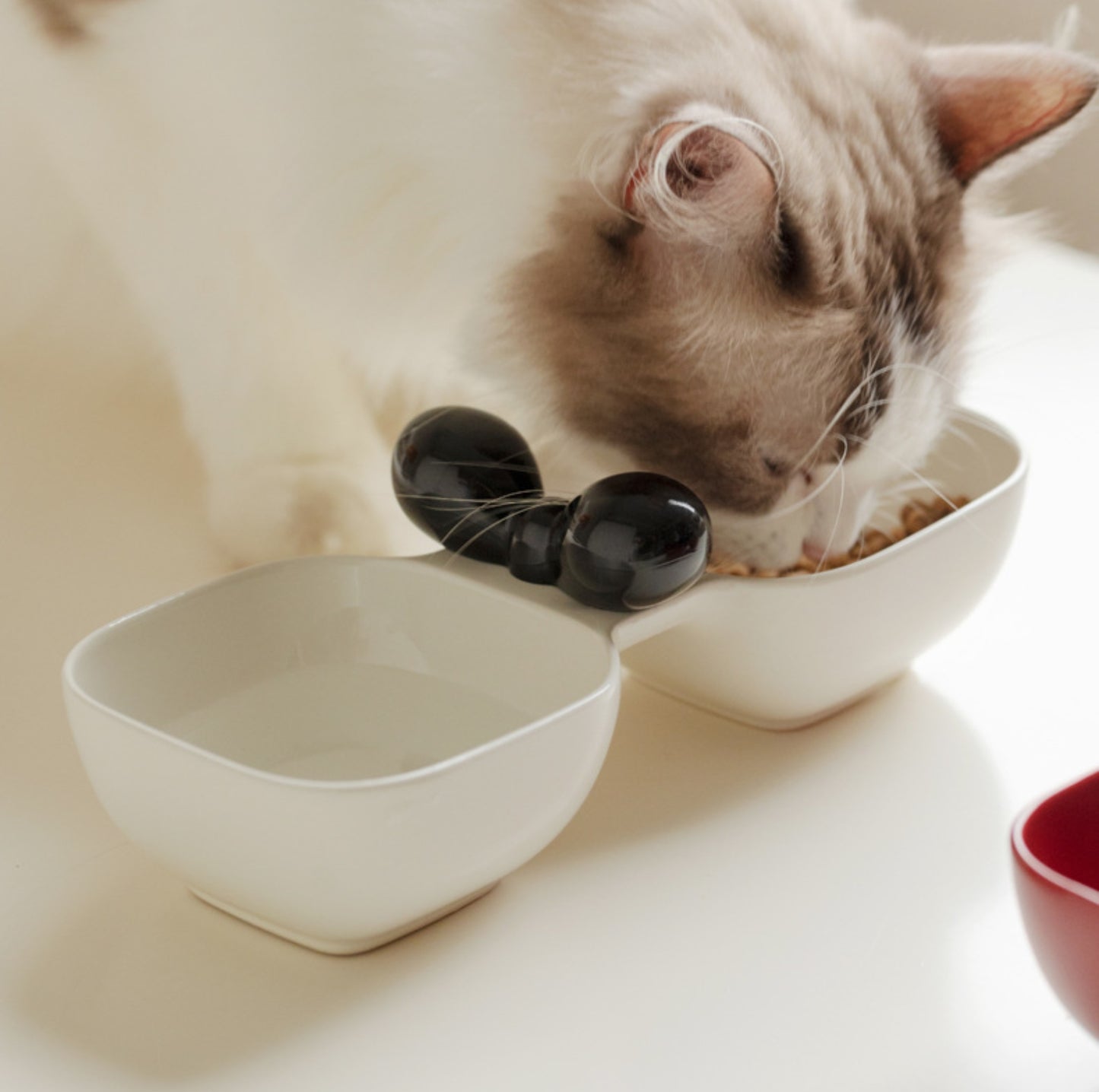 Ceramic Double Pet Bowl with Bow Design