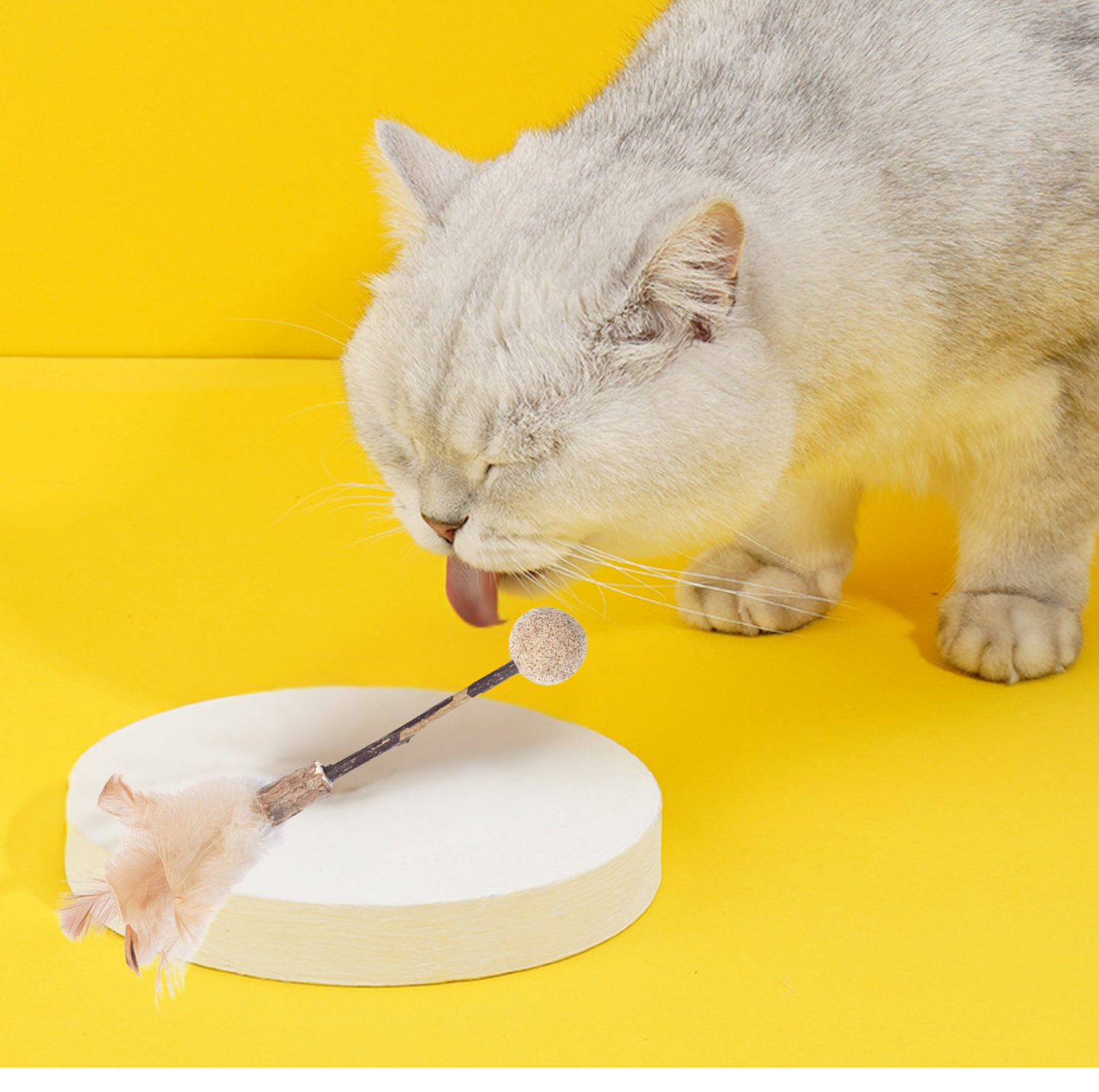 ZeZe Silvervine Cat Toy